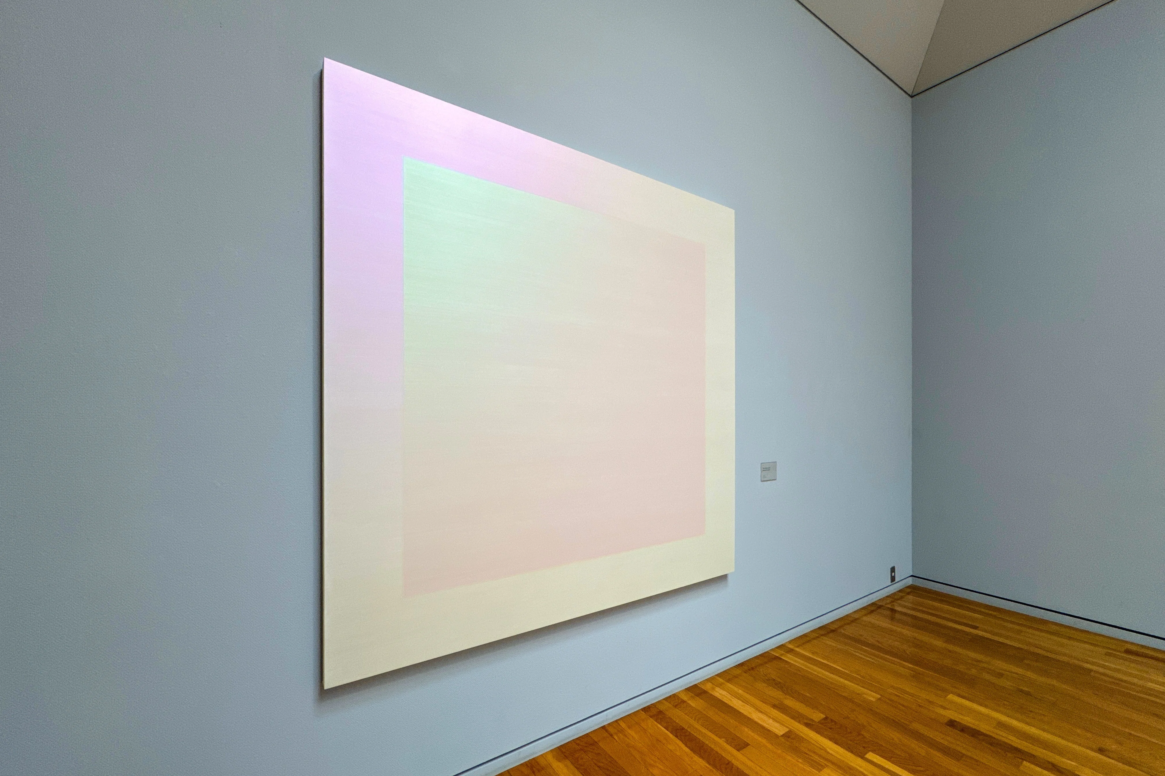 自然光の中で 光と色彩を”体験する”展覧会 ｜フランシス真悟
