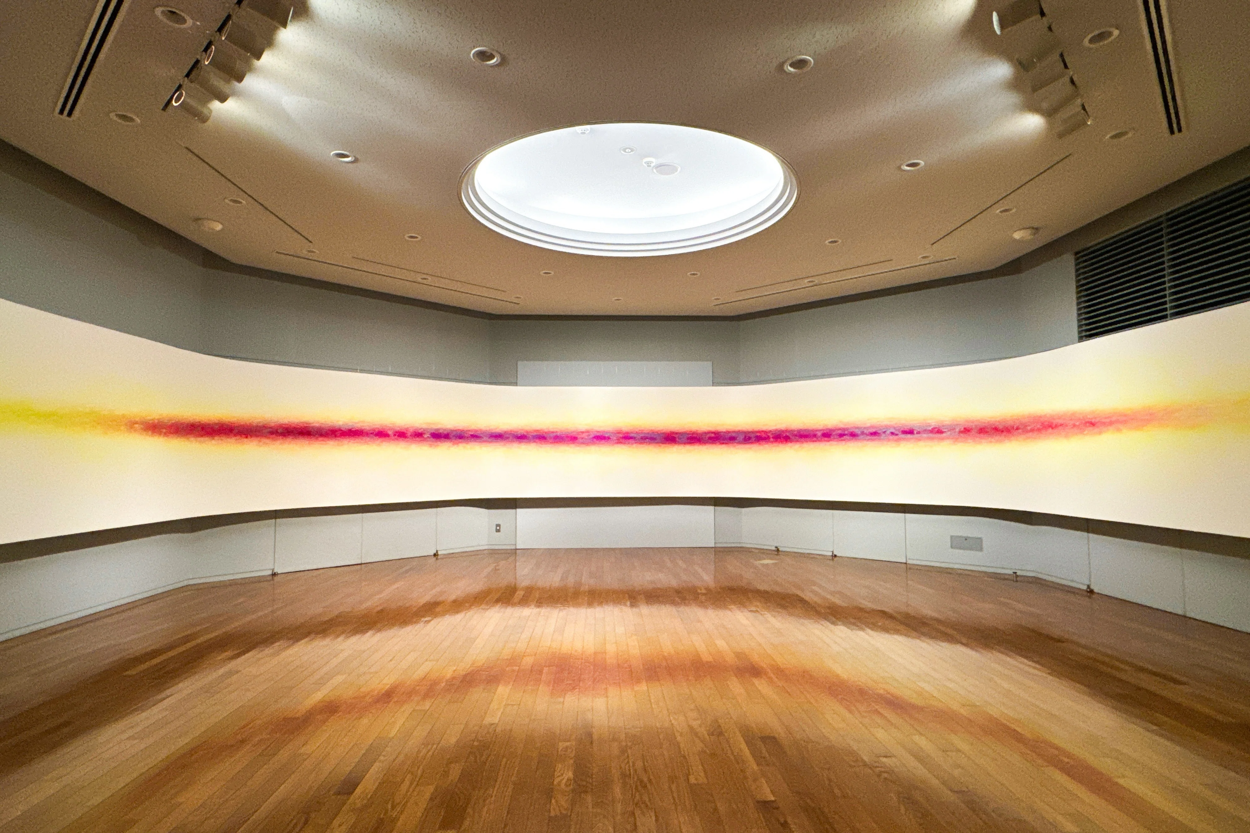 自然光の中で 光と色彩を”体験する”展覧会 ｜フランシス真悟