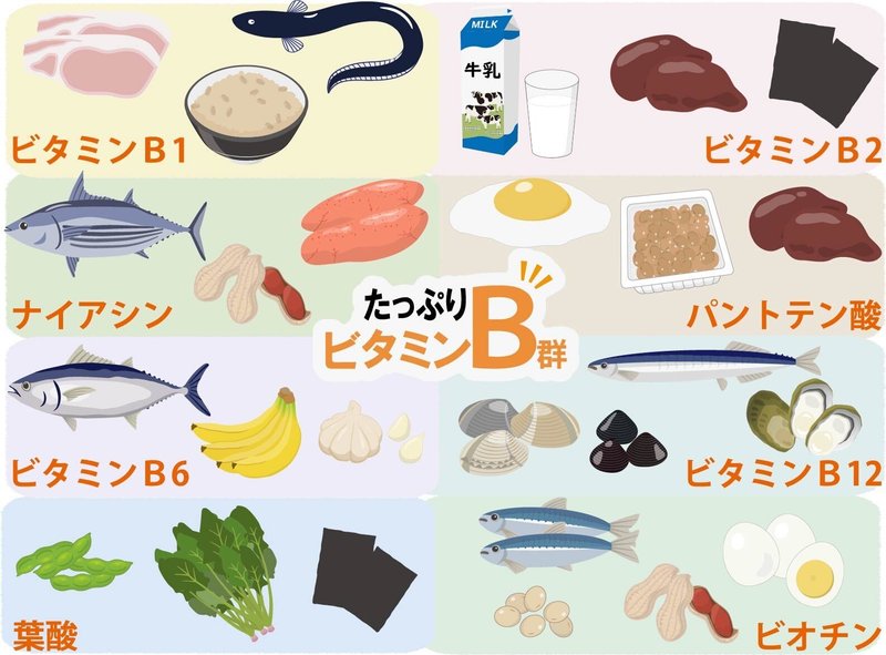 ビタミンB群を多く含む食品のイラスト