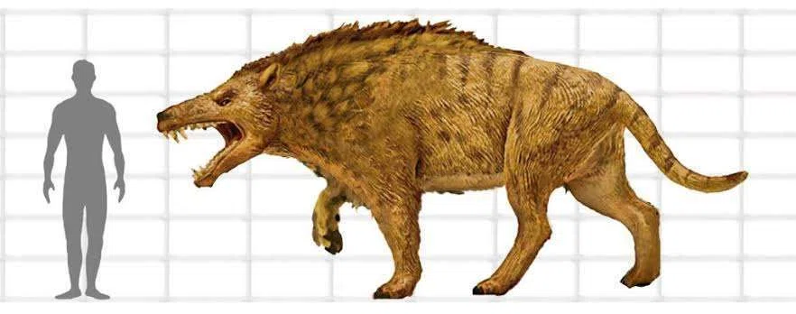 絶滅動物｜パンタロン