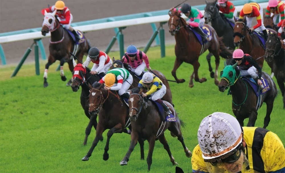 2024皐月賞ポスター｜日本サイン競馬会