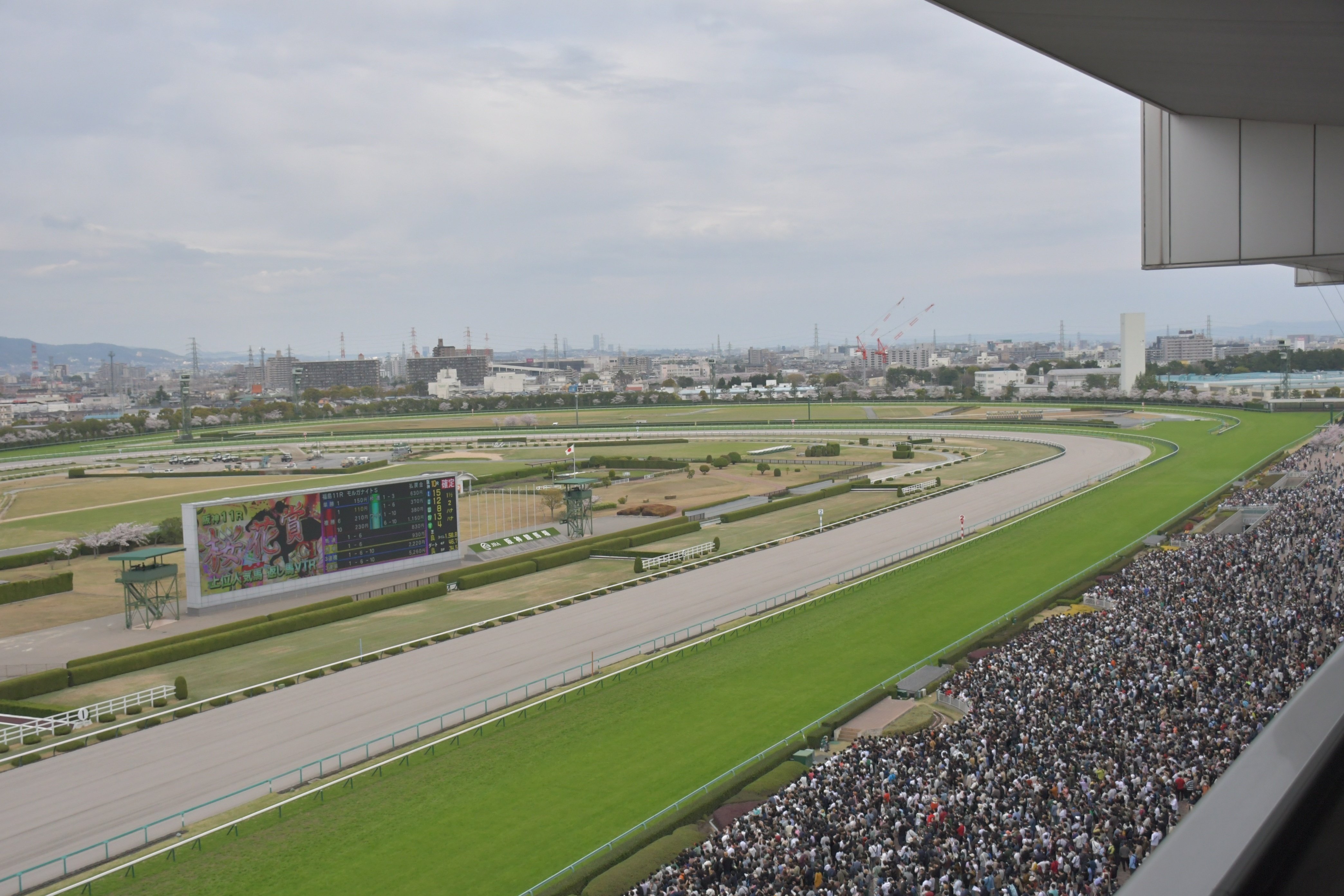 宝塚市制70周年記念競走」が阪神競馬場で開催されました🏇|宝塚 宝塚市制70周年記念競走」が阪神競馬場で開催されました🏇|宝塚
