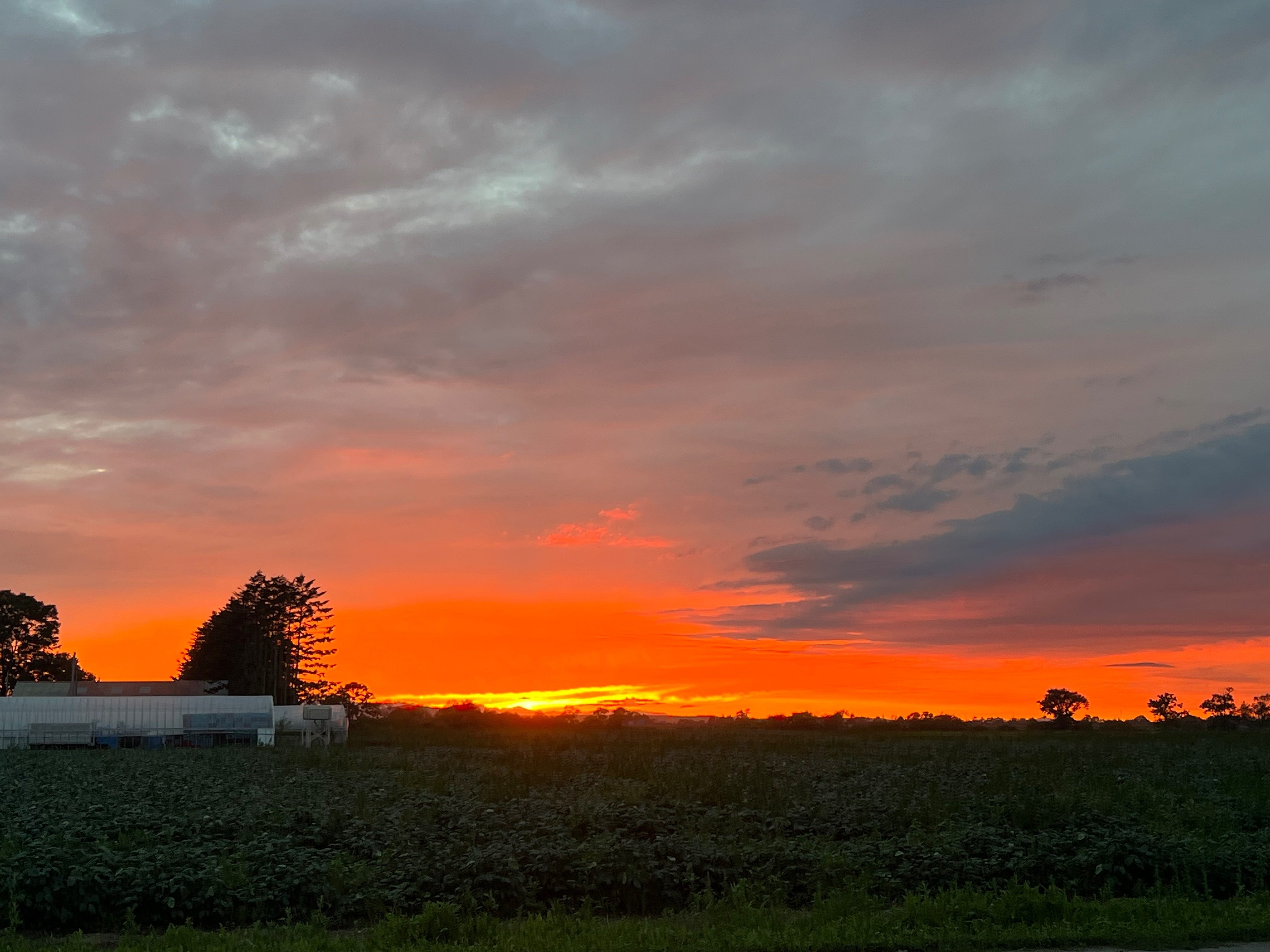 若い農家 ★20221118_ポートレイト_亀山