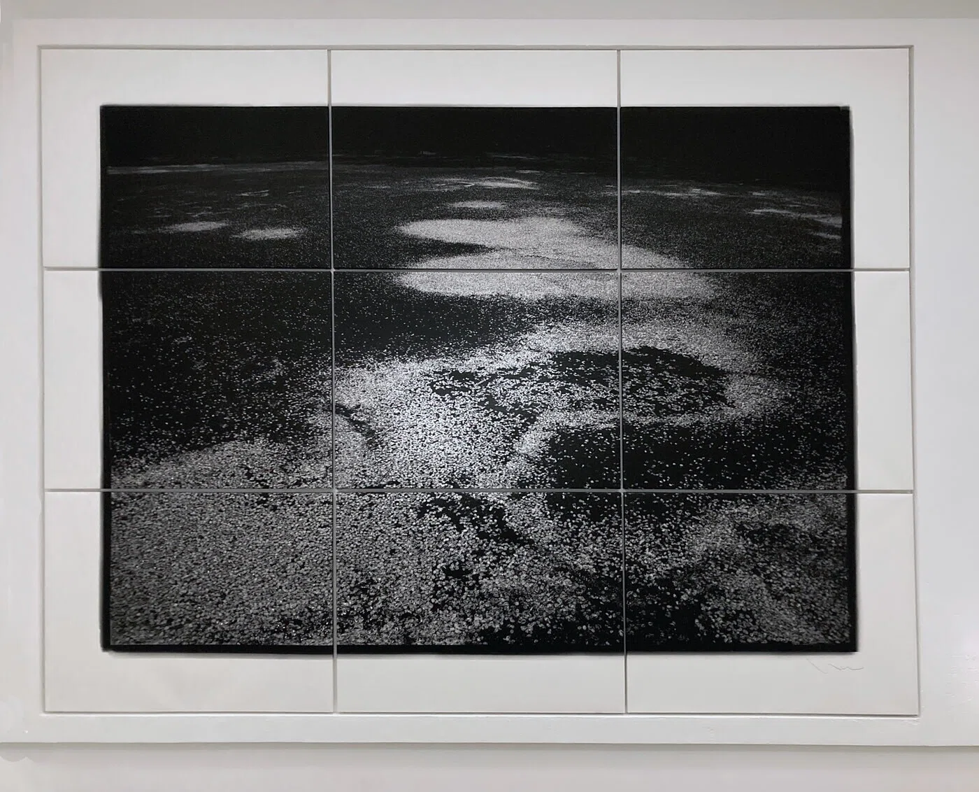 高木由利子写真展「chaoscosmos vol.2 -sakura-」 「無秩序の自然現象