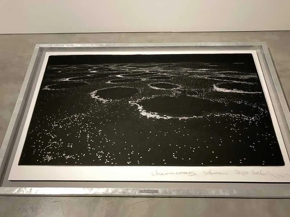 高木由利子写真展「chaoscosmos vol.2 -sakura-」 「無秩序の自然現象