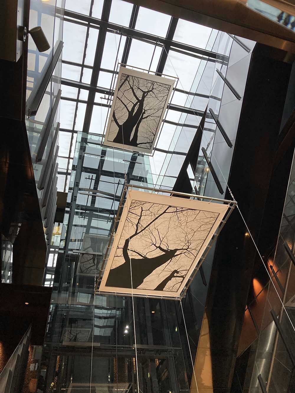 高木由利子写真展「chaoscosmos vol.2 -sakura-」 「無秩序の自然現象