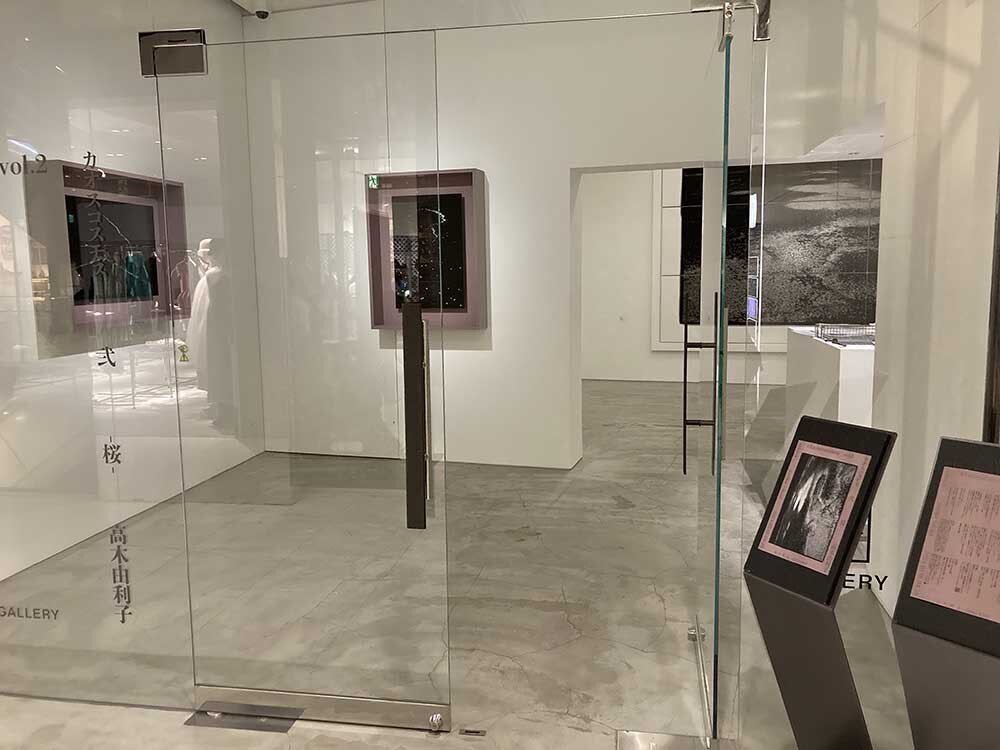 高木由利子写真展「chaoscosmos vol.2 -sakura-」 「無秩序の自然現象