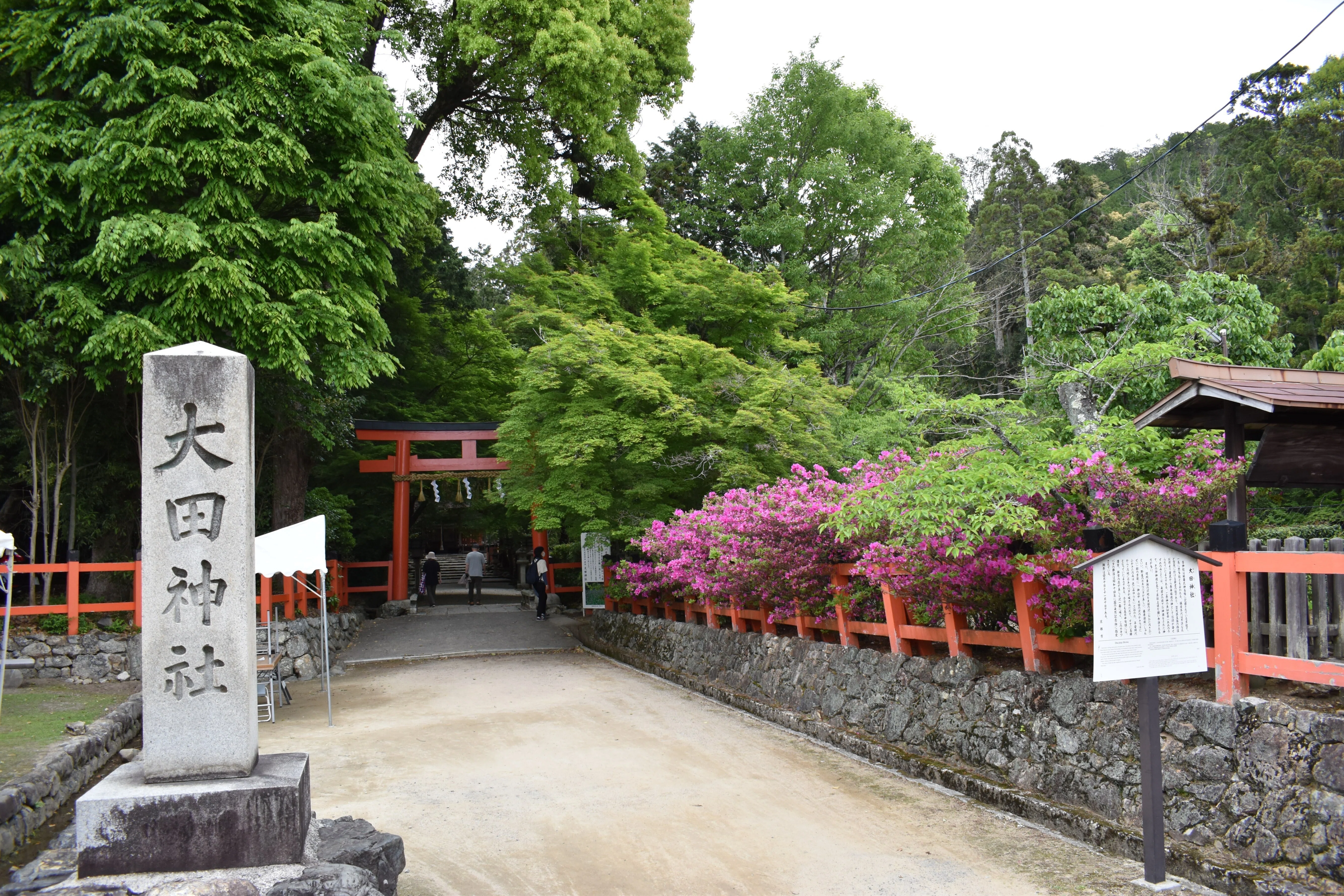 生き続ける文化財》『上賀茂やすらい花』と世界遺産『上賀茂神社