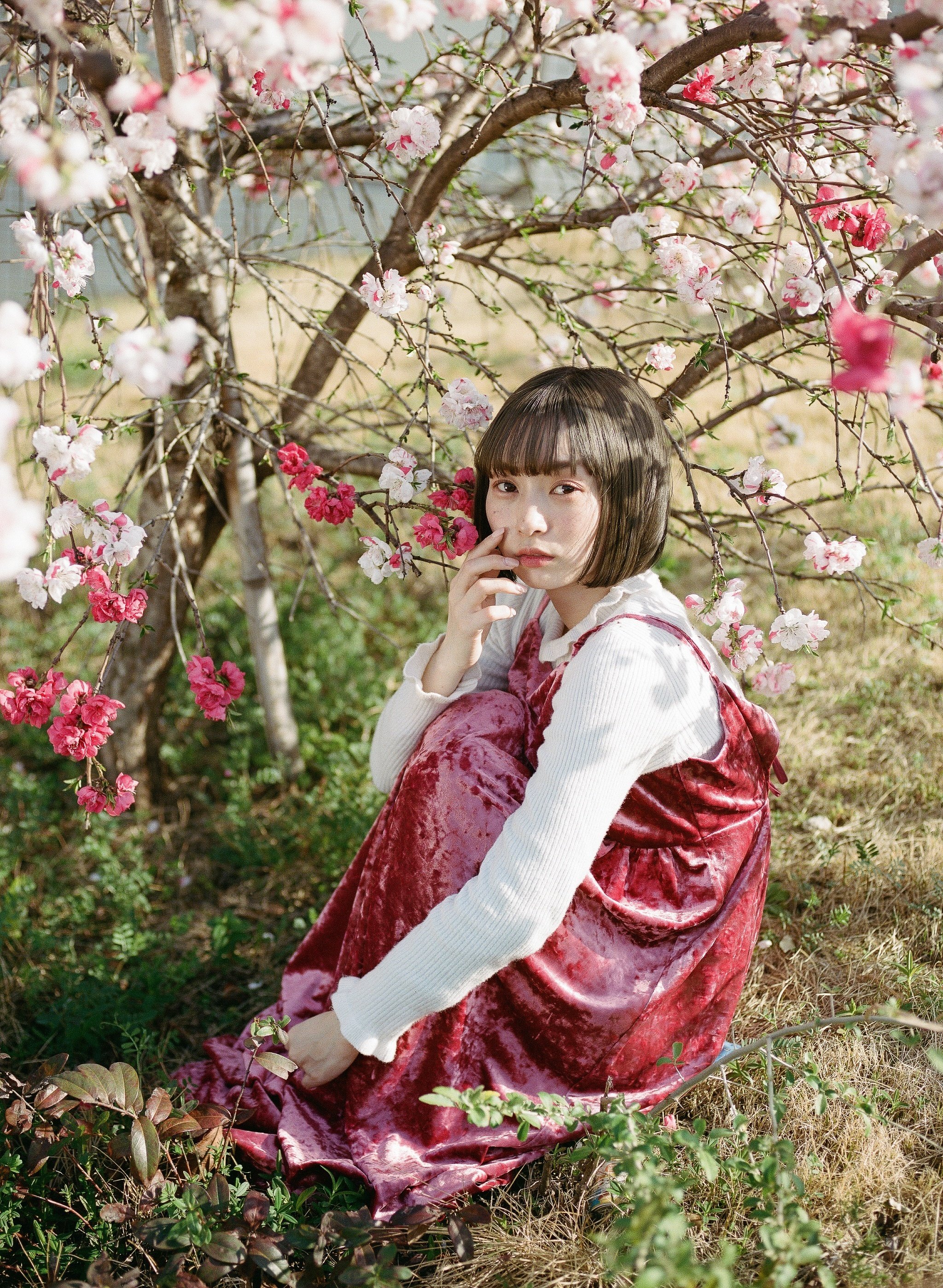 PENTAX 645NⅡ 645nⅡ 75mmレンズ　作例あり 作例あり】PENTAX645の手持ちのレンズ5本を紹介 - YouTube