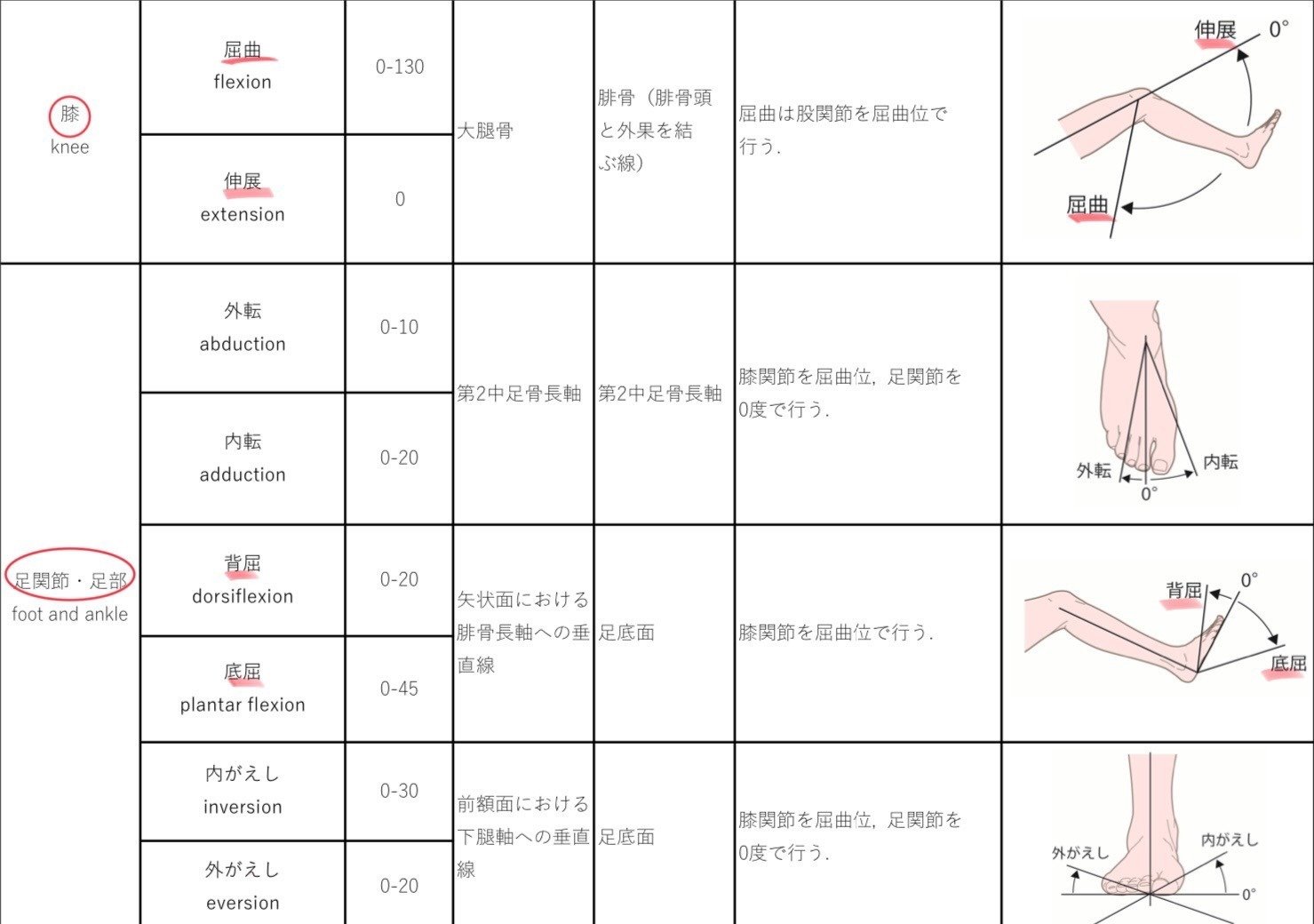 関節可動域 関節可動域】これだけは覚えて！｜トレーナーが気軽に学べる場所＠まさや