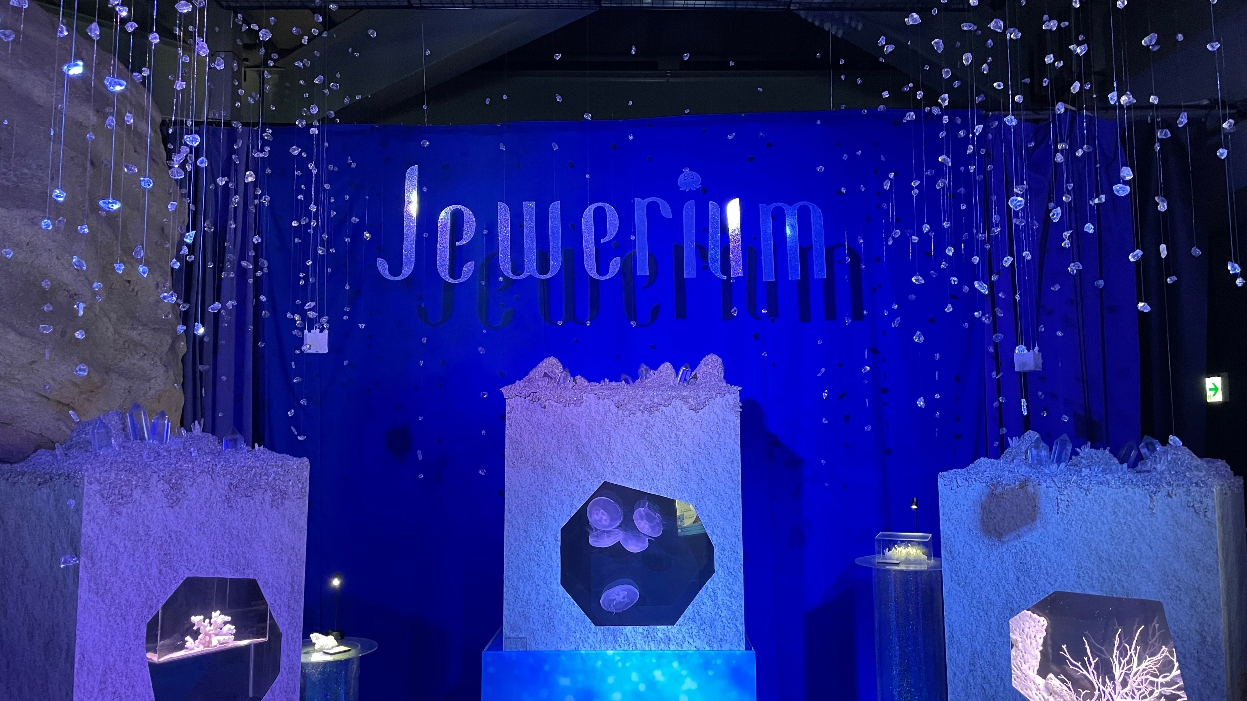えのすいの宝石のような展示『JEWERIUM』に行ってきました【新