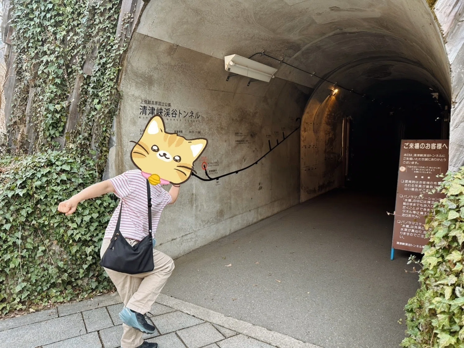 無計画ニッポン旅】異世界なトンネルをさまよいながら映え写真とってき