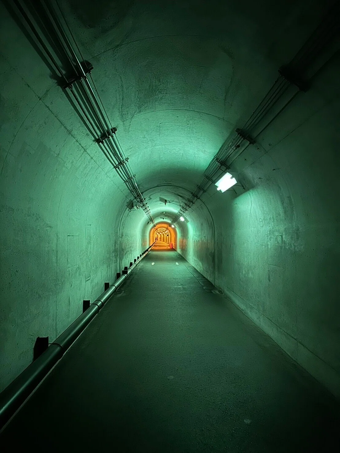 èæããã³ãã«