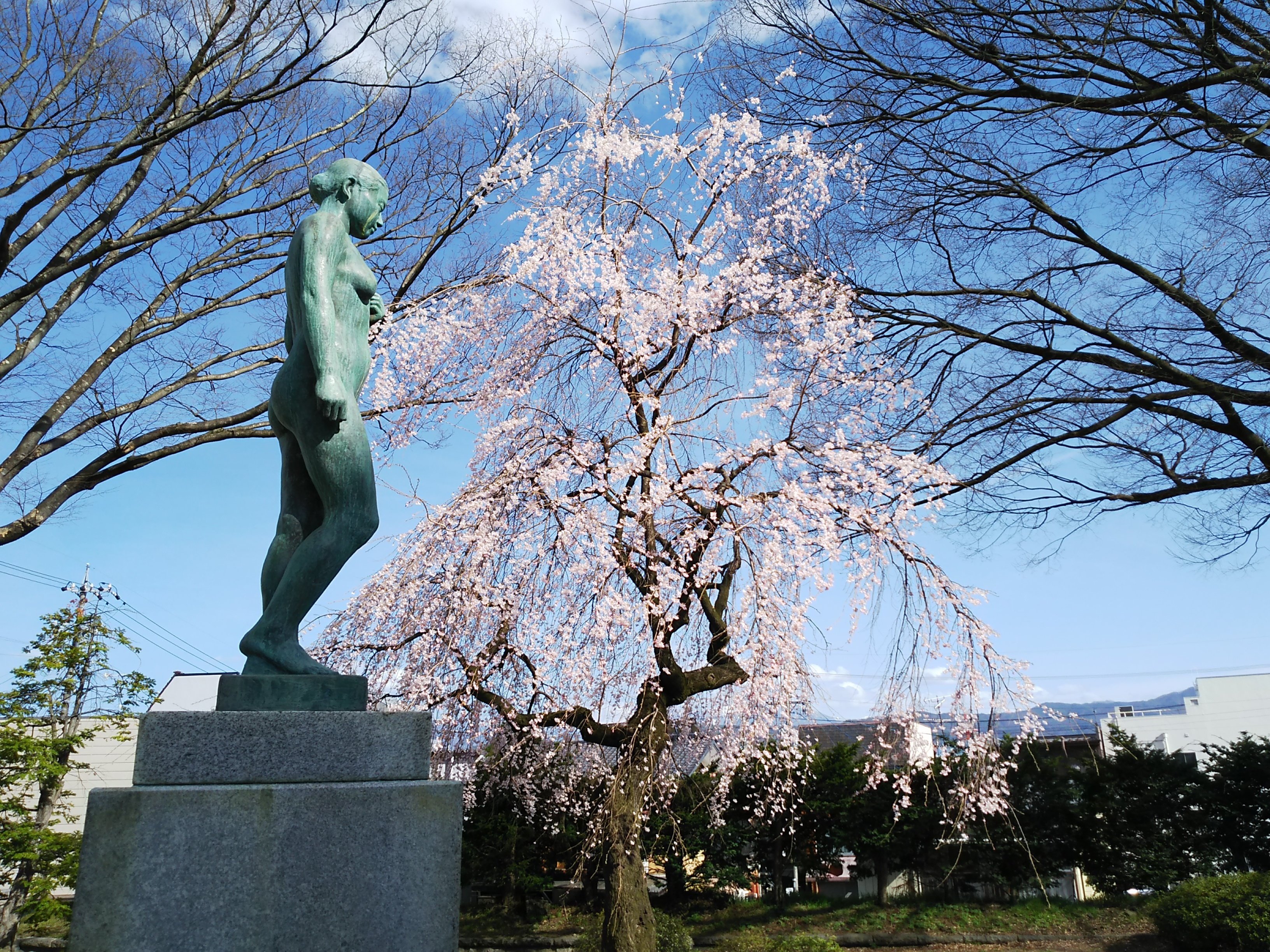 ただ絵が、好きで好きで」日本画家 池上秀畝展|つきふね ただ絵が、好きで好きで」日本画家 池上秀畝展|つきふね