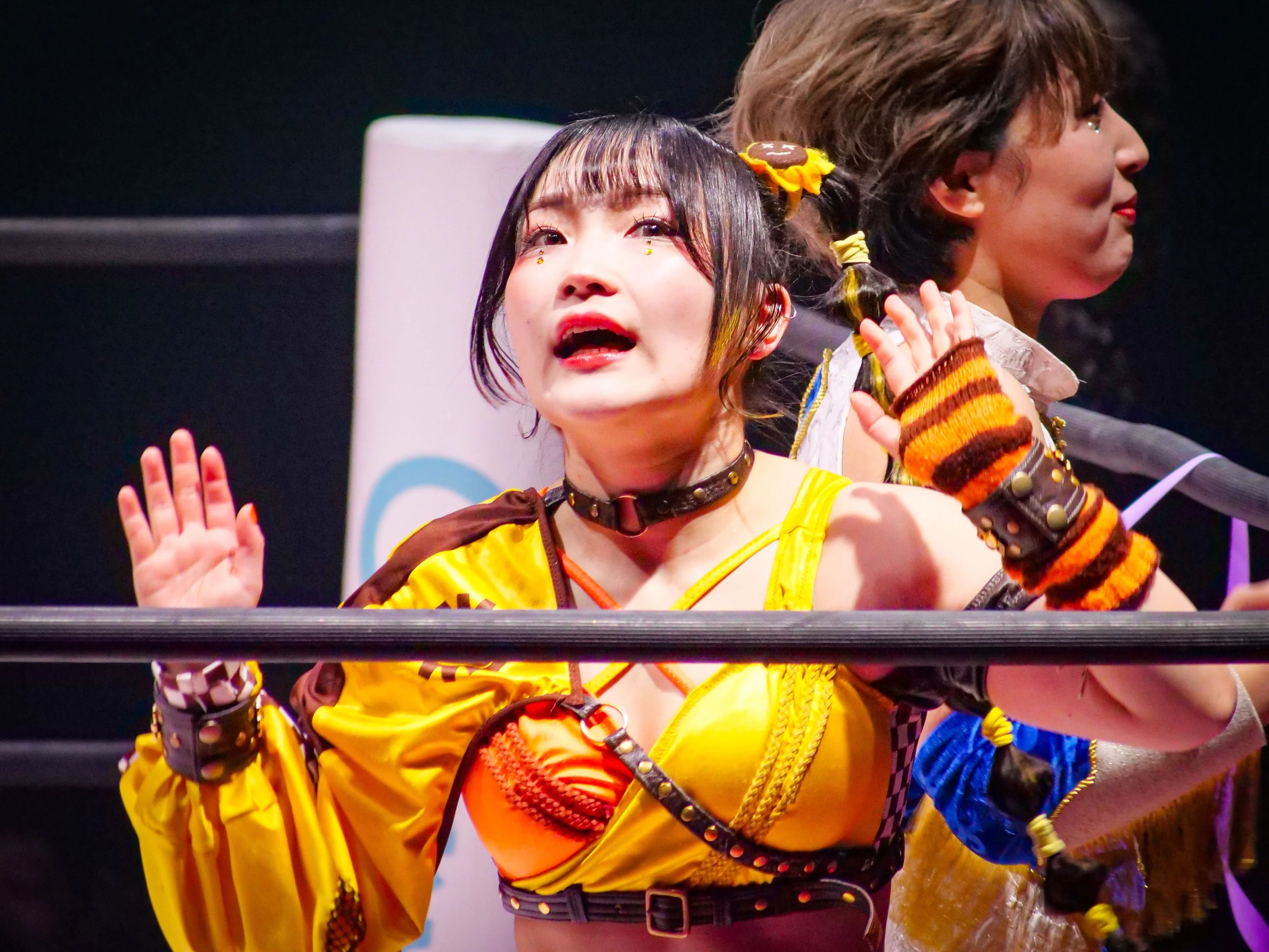 Grand Princess '24 (Tokyo Joshi Pro-Wrestling)｜ジャッカロープ