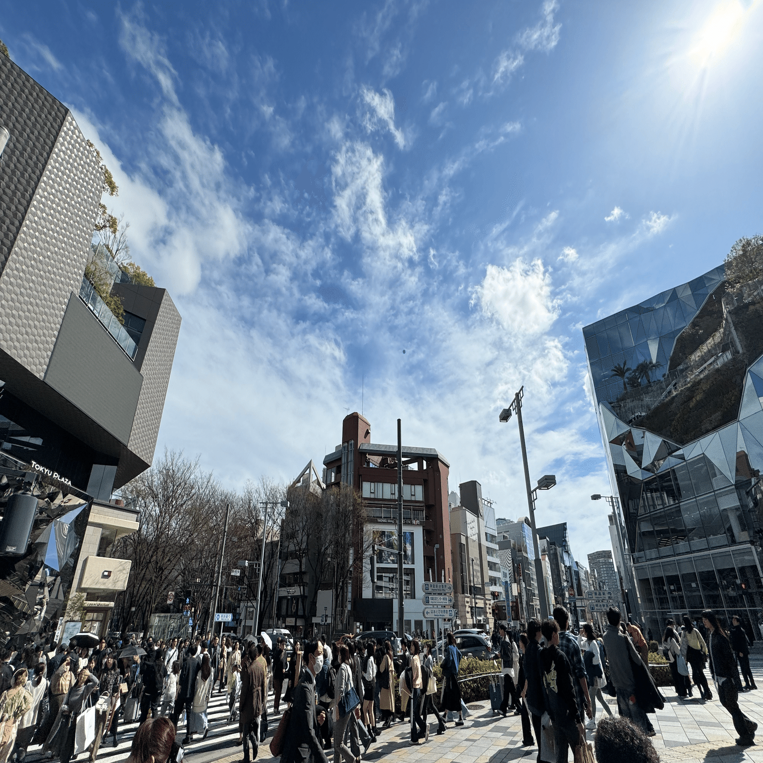 原宿の「ハラカド」に日本酒ブランドHINEMOSの専門店が出店することの