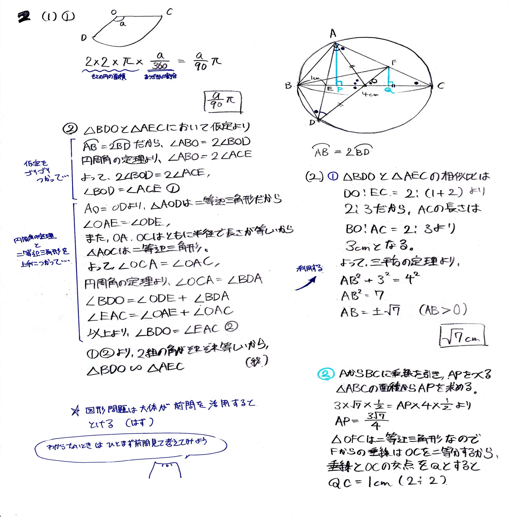 2024年度【数学C問題】大阪公立高校入試全問解説｜シアン化水族館