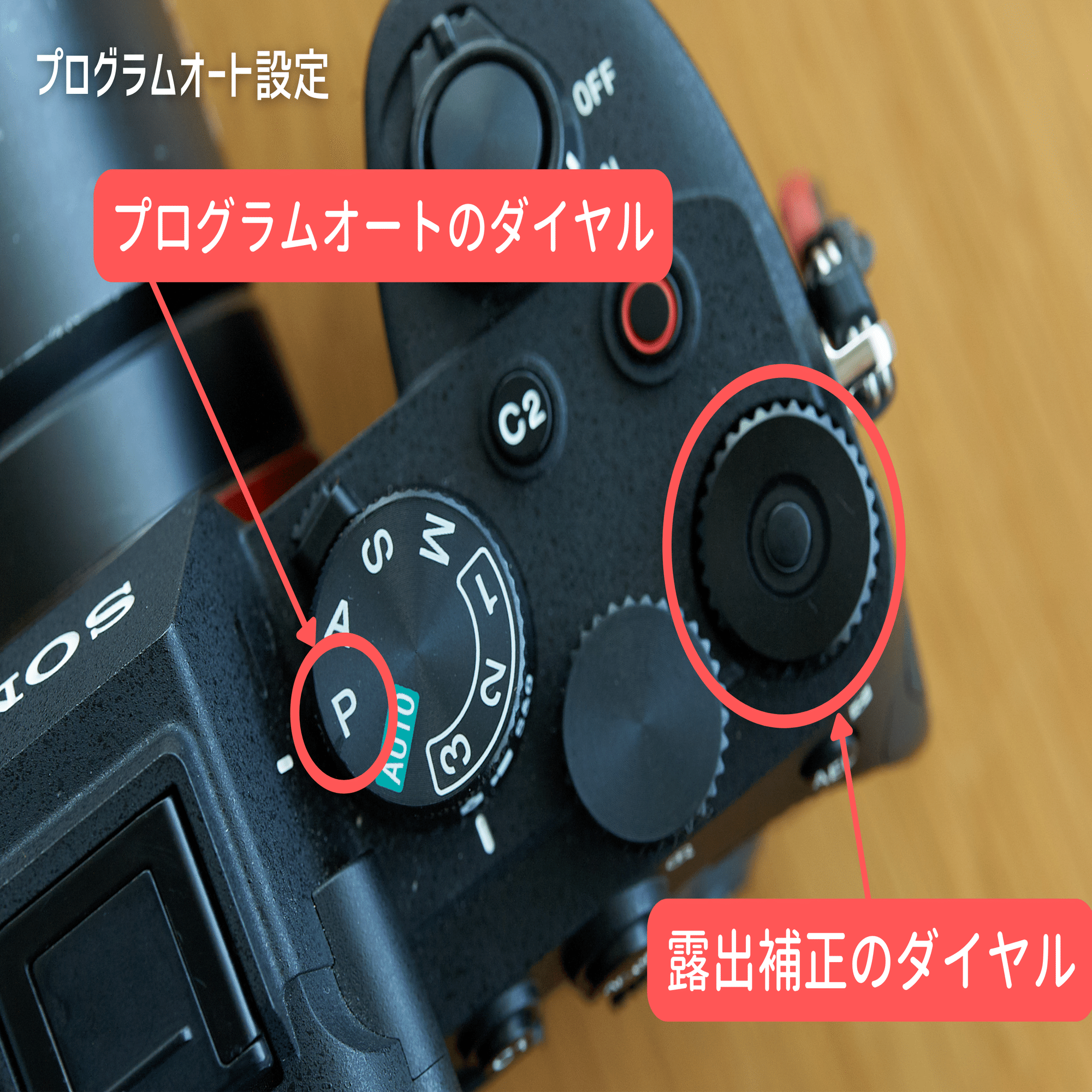 初めての一眼レフ・ミラーレスカメラでまず一番目にやってみること