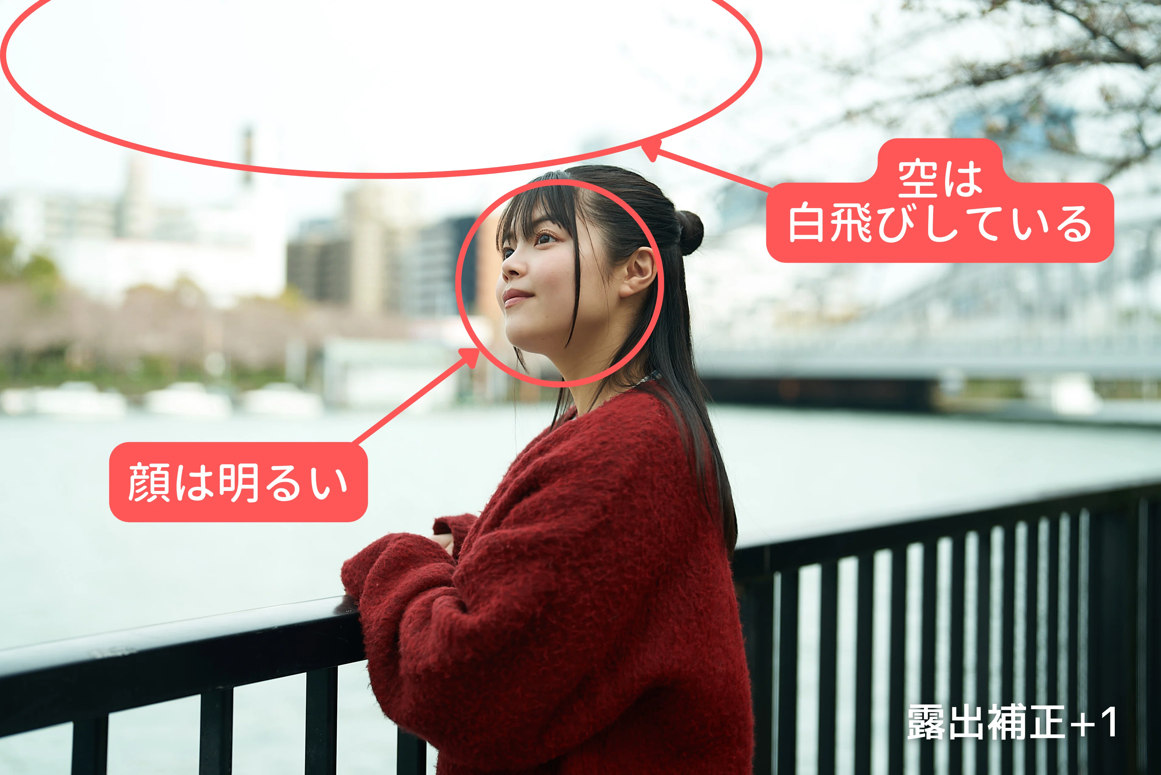 初めての一眼レフ・ミラーレスカメラでまず一番目にやってみること