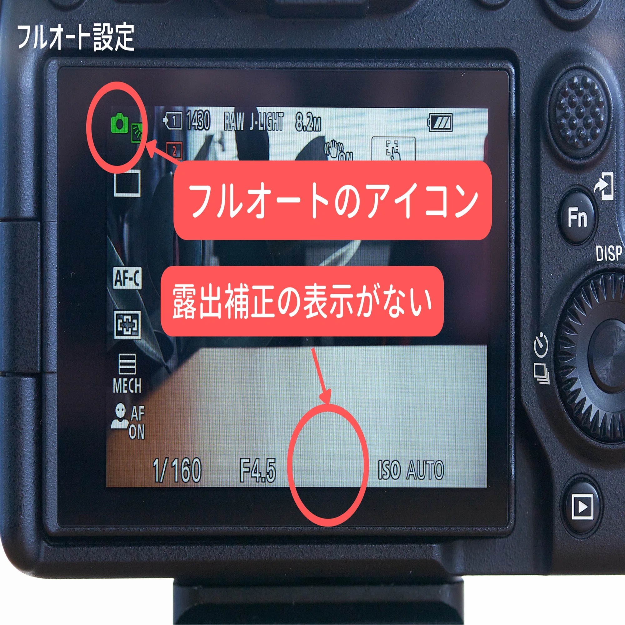 初めての一眼レフ・ミラーレスカメラでまず一番目にやってみること 