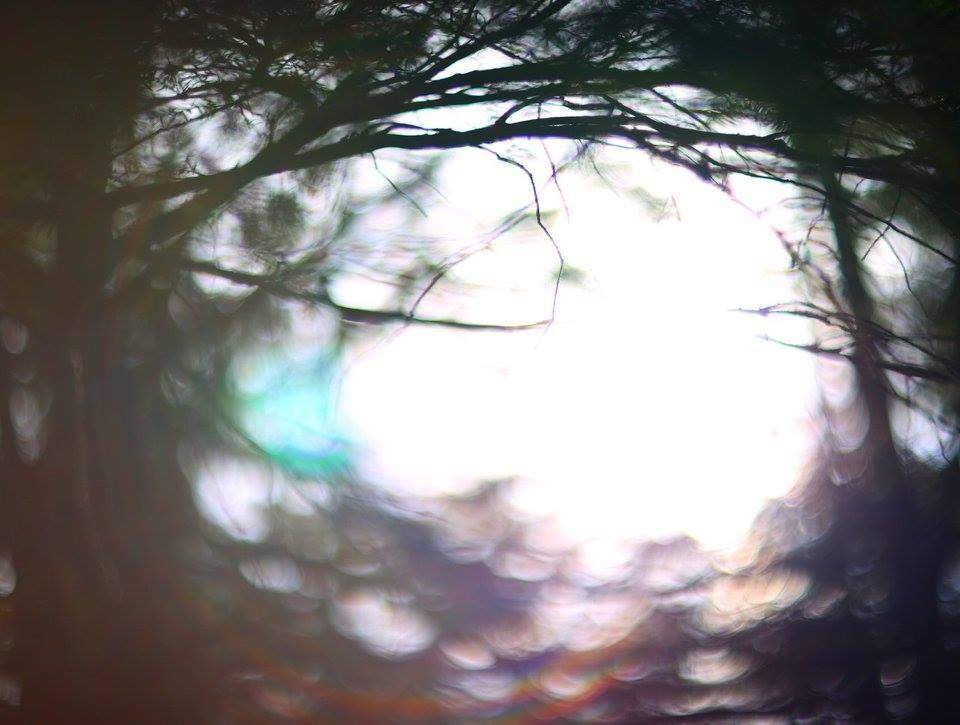 レアな「ぐるぐるボケ「Helios 40-2 85mm f1.5」｜伊藤めぐ