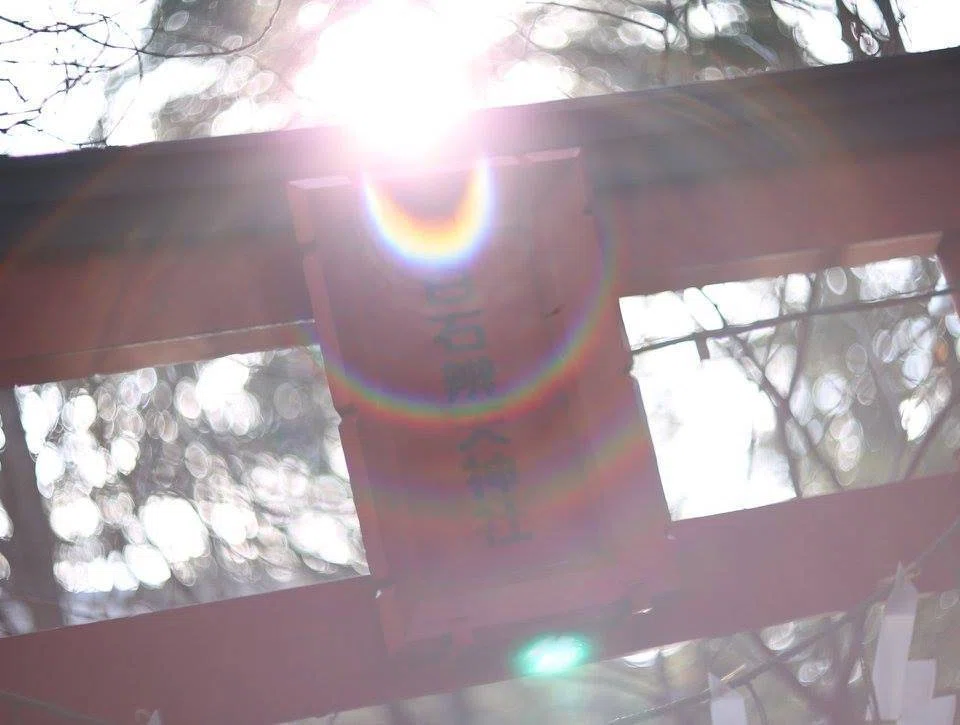 レアな「ぐるぐるボケ「Helios 40-2 85mm f1.5」｜伊藤めぐ