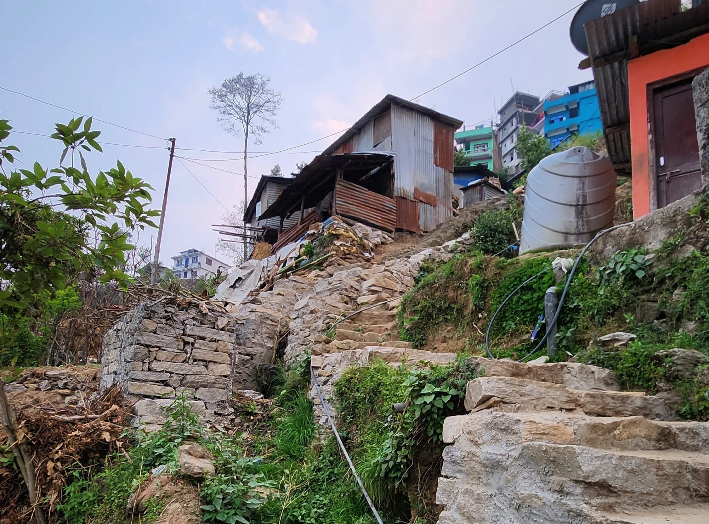ネパールとの親和性について🇳🇵｜ゆも
