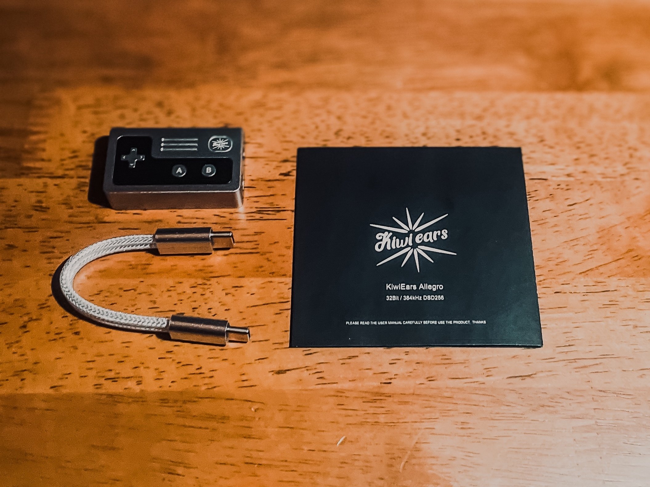 iFi GO pod Max 初回限定版 未開封国内正規品 GO pod Max - iFi