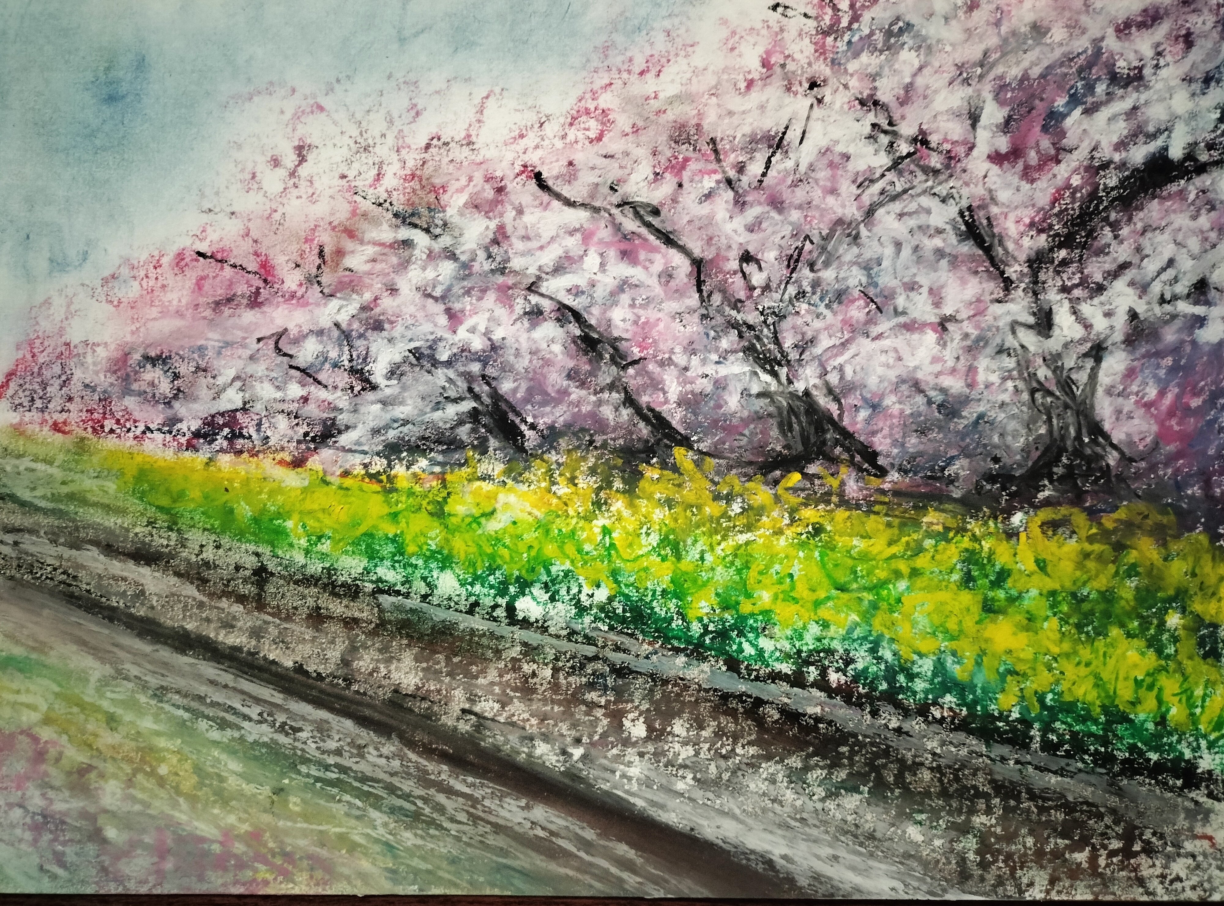 現代アート「あさひ舟川の桜堤と菜の花」（3D painting） 現代アート「あさひ舟川の桜堤と菜の花」（3D painting） 水彩画原画