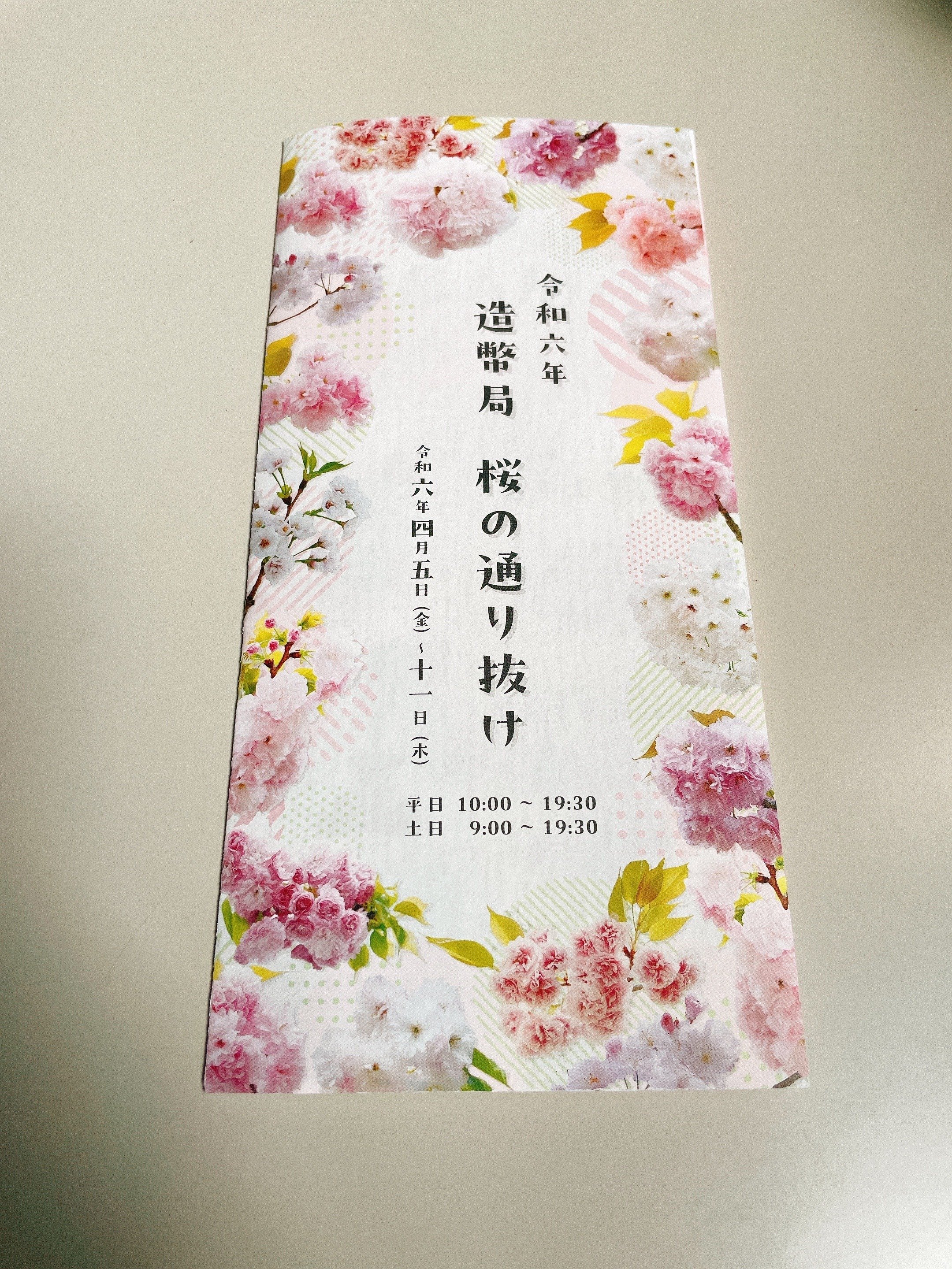 造幣局:桜の通り抜け2024｜八木玲穏