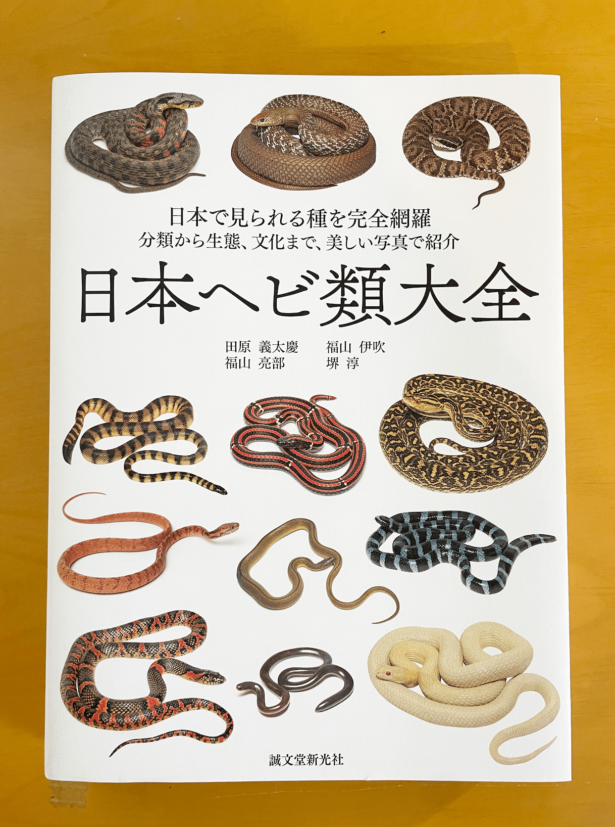 大蛇全書 大蛇全書 | 田原 義太慶, 柴田 弘紀, 友永 達也, 田原 義太慶 |本