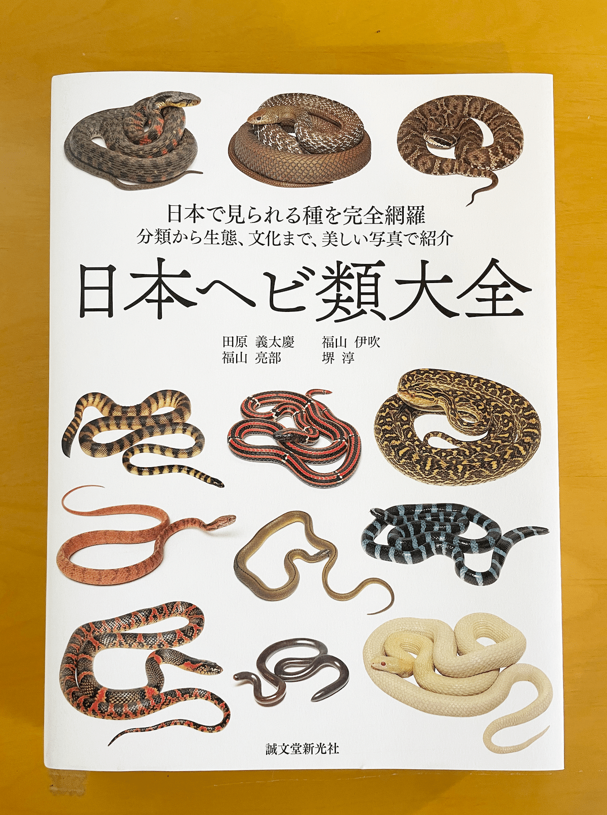 お仕事】日本ヘビ類大全（誠文堂新公社）のイラスト｜きのしたちひろ
