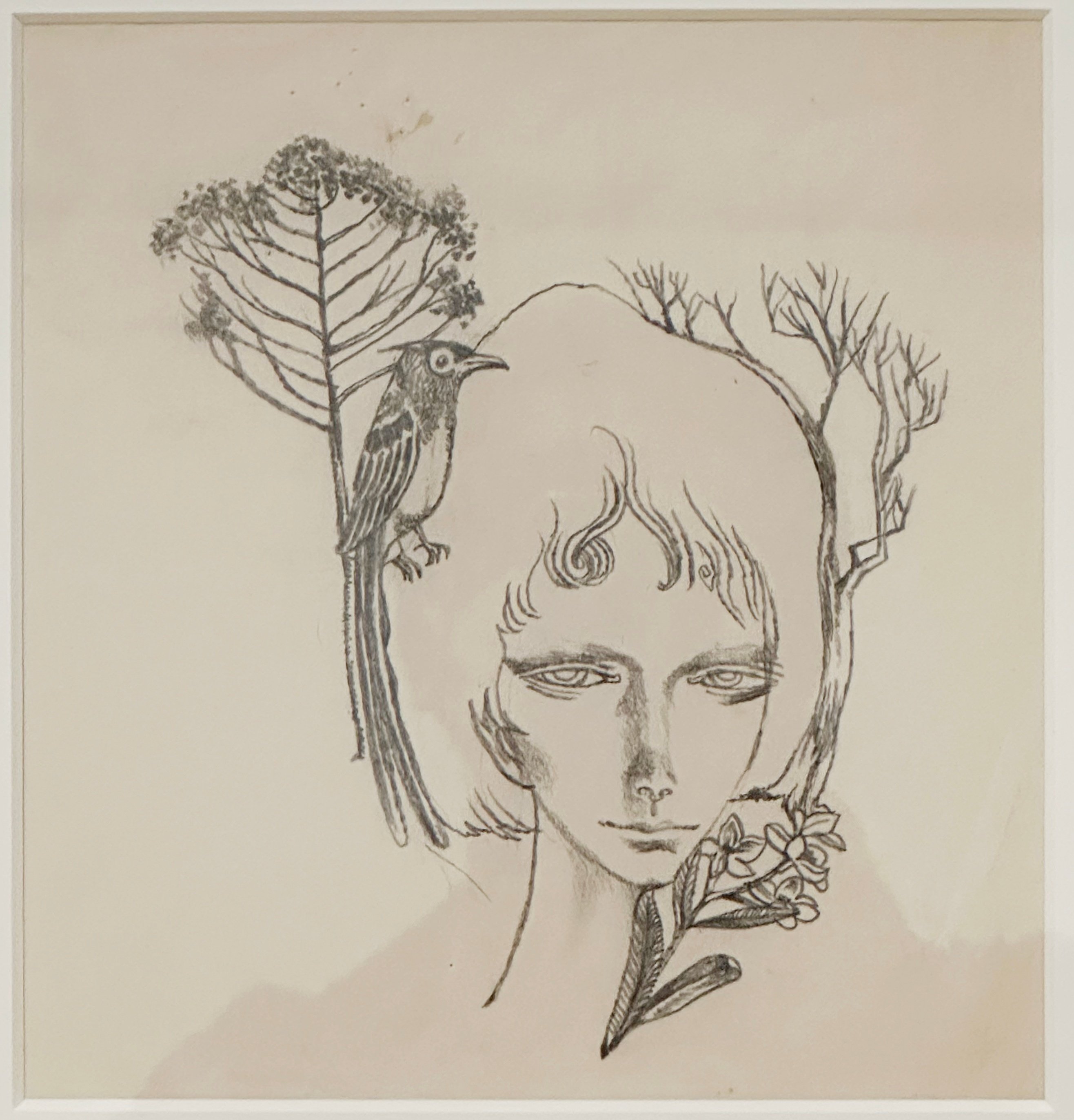 70年間変わらないことが凄い！「宇野亜喜良展2024」｜猫太郎