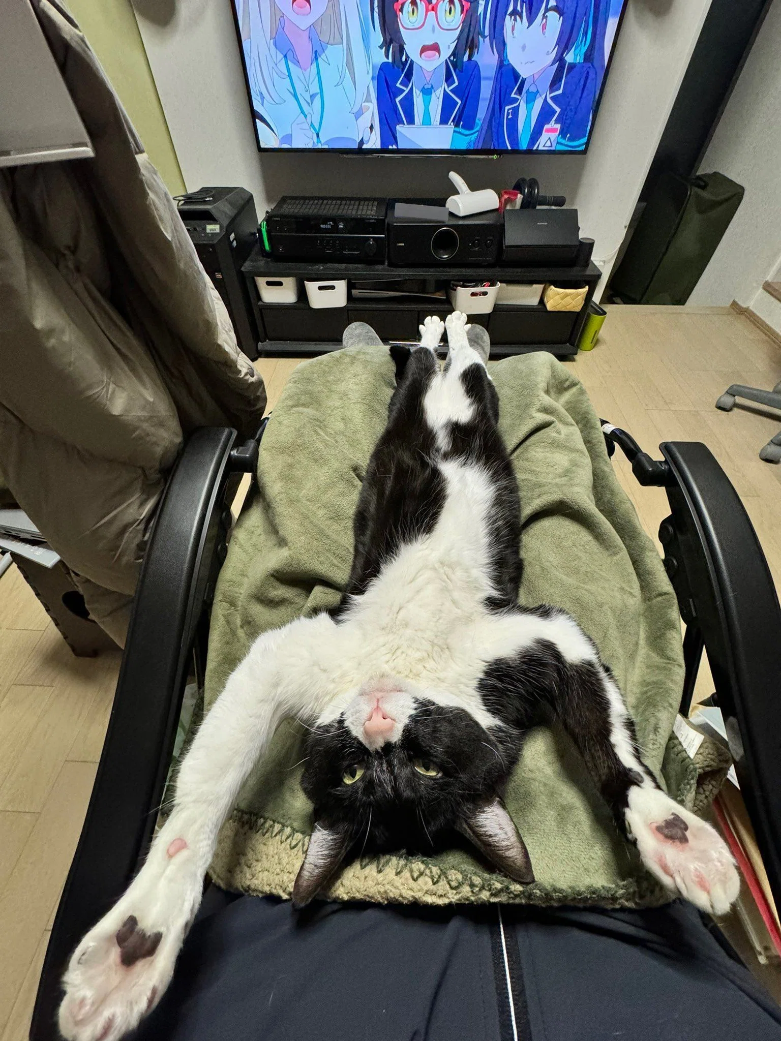 すげえ格好の猫とブルアカ見てる」状況に思わず二度見しそう！変顔で