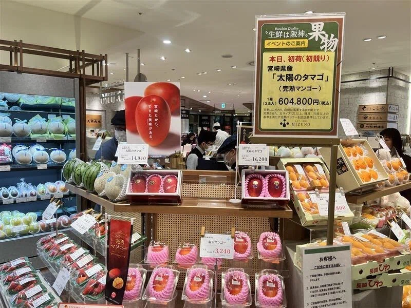 大阪11日目は、太陽のタマゴが解禁だった｜kaishin