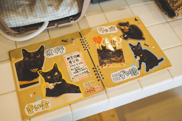 黒猫大好き❤ ブラックダウン＆ベージュベスト クロネコ天国がココに！ 黒猫専門猫カフェで癒しの時間を｜ヤマト運輸
