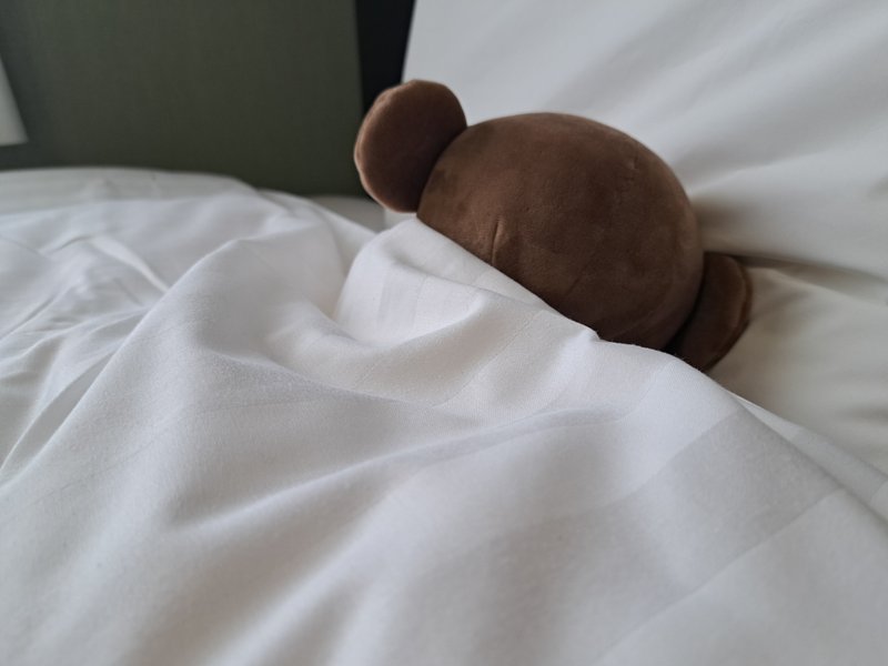ベッドで眠る試験道具を興味津々に見つめるgarmit公式キャラクターがみえーるの写真