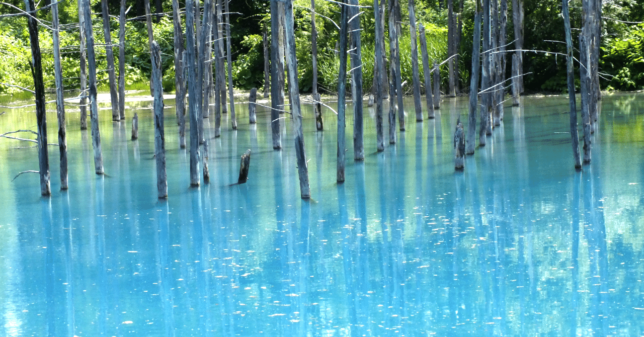 青い池(美瑛) 北海道美瑛町の「青い池」過去の映像から7月の風景|KIZAMI