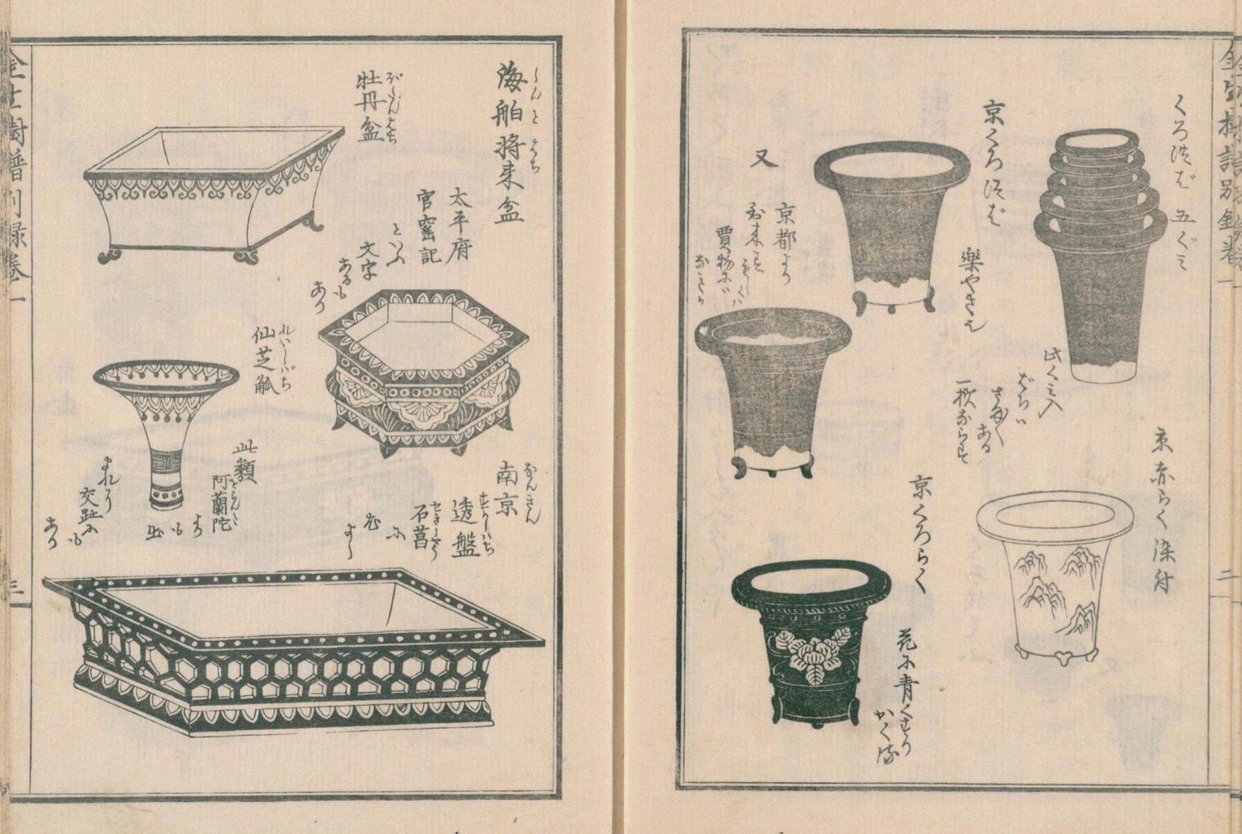 青嵐金箔紅葉盛鉢