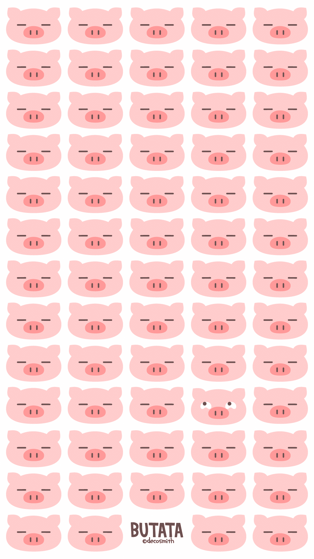 ぶたたプロフィール｜decosmith