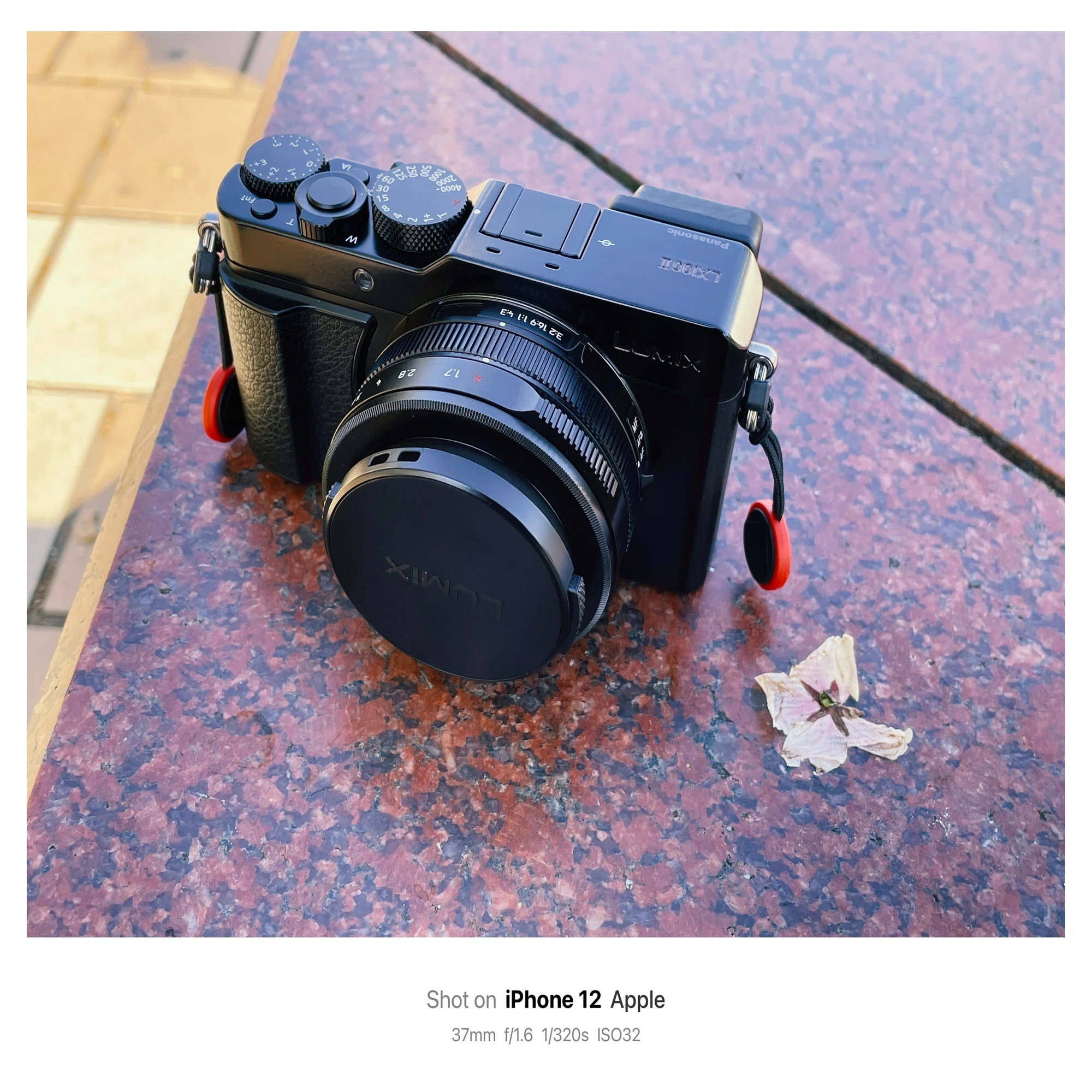 カメラを持って温室へ【LUMIX LX100M2 作例】｜鈴木ユートピア