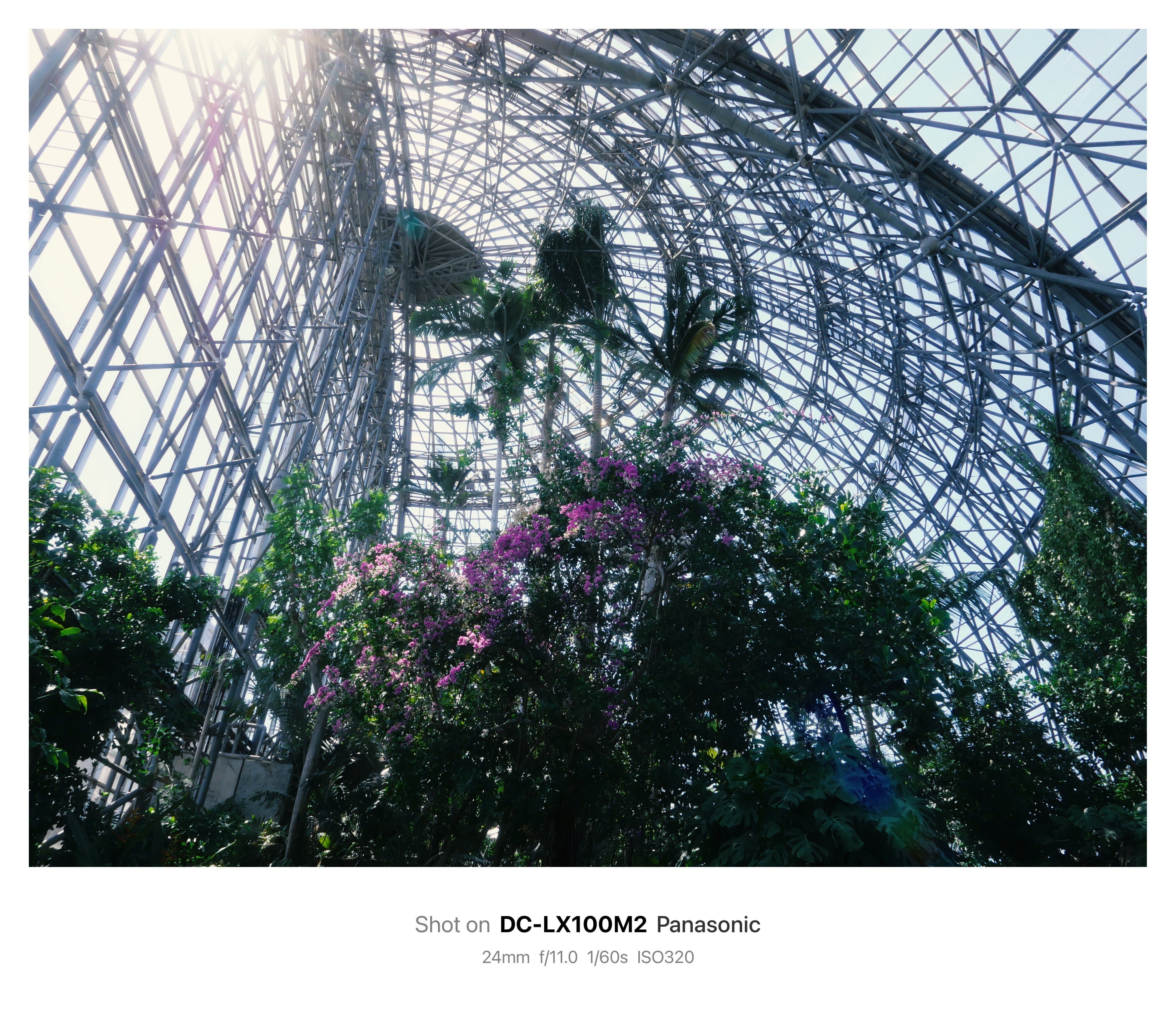 カメラを持って温室へ【LUMIX LX100M2 作例】｜鈴木ユートピア