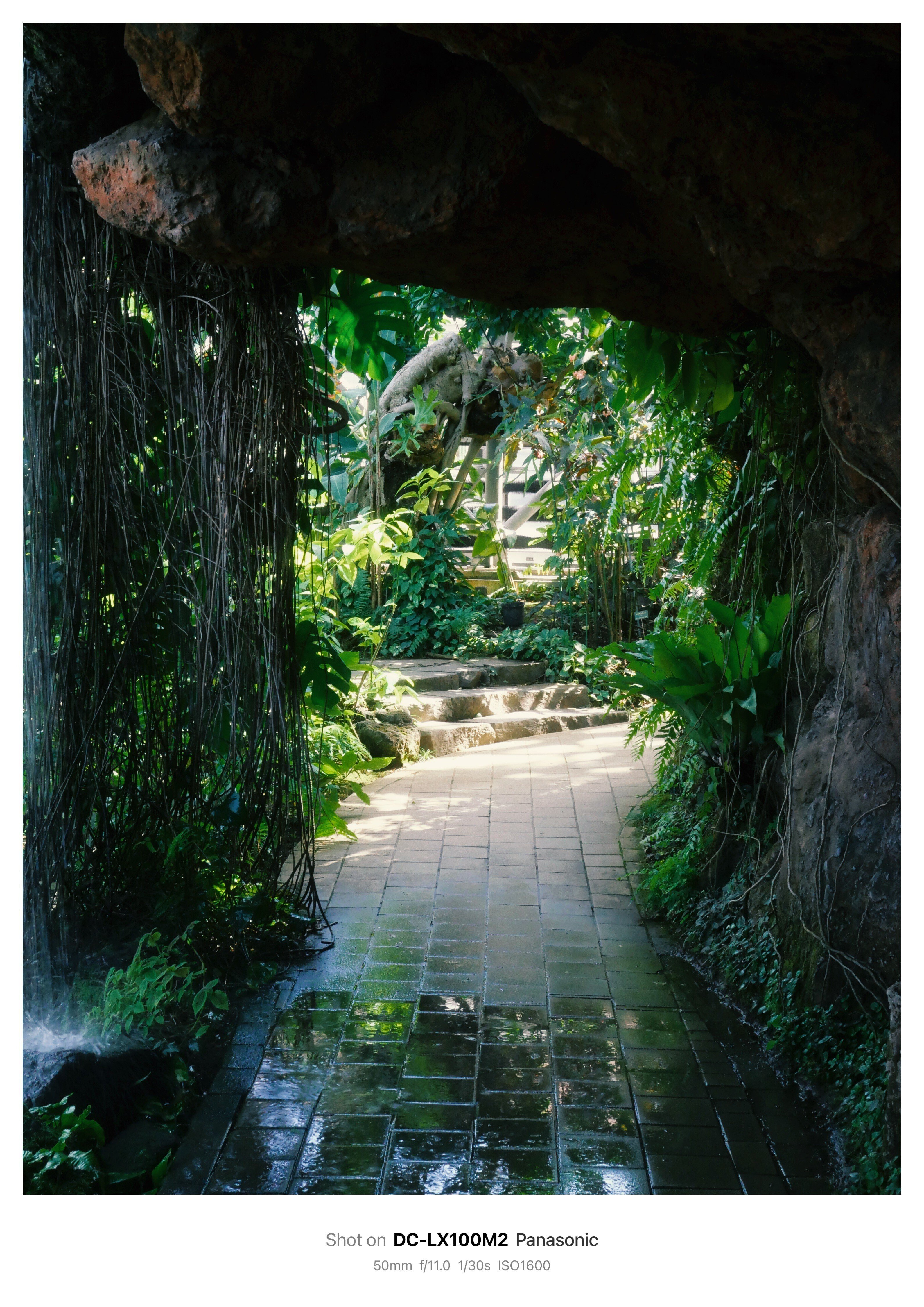 【作例あり】Panasonic LUMIX DC-LX100M2 作例あり】Panasonic LUMIX DC-LX100M2