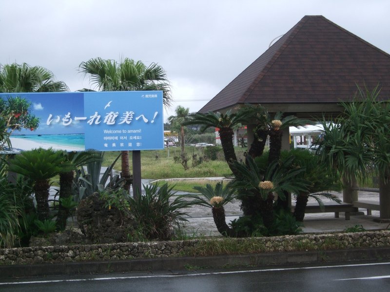 鹿児島市からはだいぶ離れた奄美。鹿児島県だし。奄美地方、2015年の梅雨時でしたが、亜熱帯の雨、初心者の洗礼を受けました。