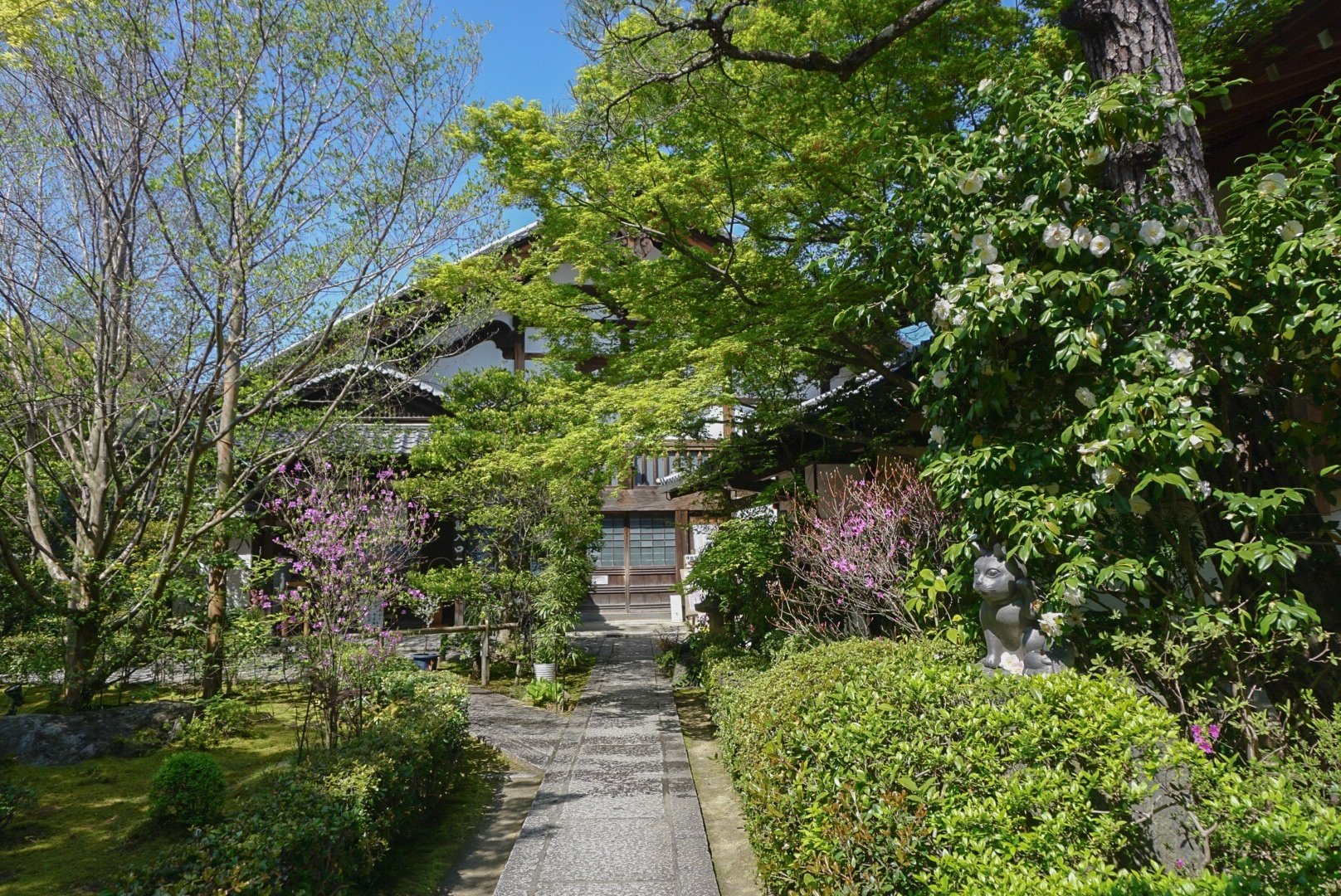 桜から新緑へ。季節の巡りをこの目で観察すること。｜misaki｜散歩日和