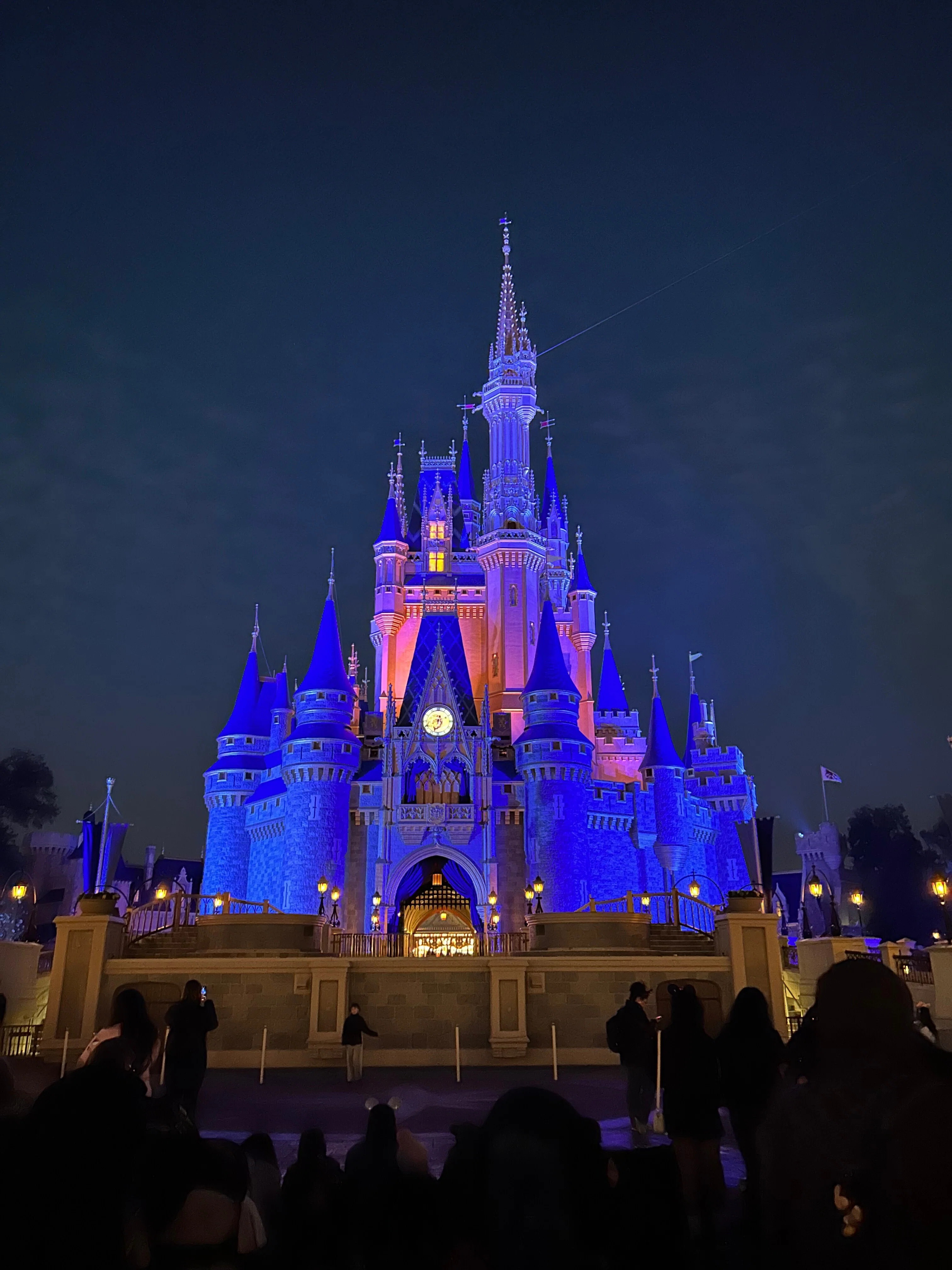アメリカ】WDW・マジックキングダムを1日に詰め込んでみた〜2万歩の
