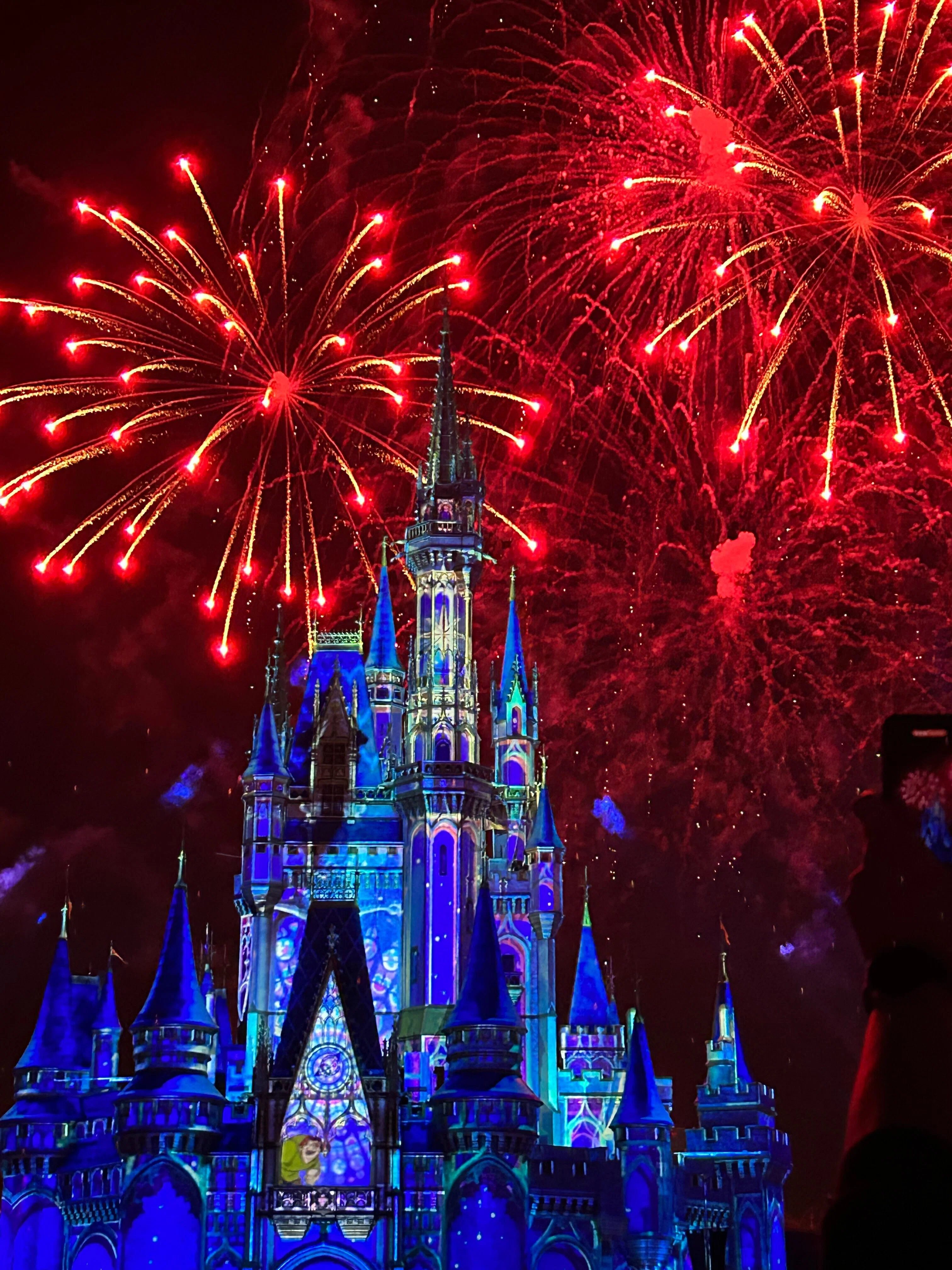 アメリカ】WDW・マジックキングダムを1日に詰め込んでみた〜2万歩の