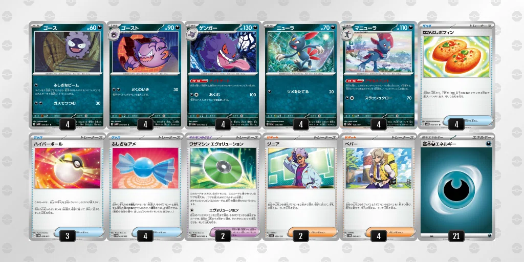 ポケモンカードデッキ構築済み ポケカ四天王考案】 ゼクロムex 構築済みデッキ ポケモンカード ポケカ