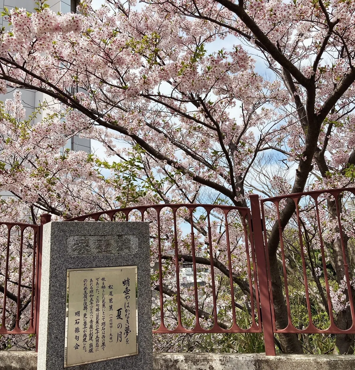 蛸壺やはかなき夢を夏の月|アケミ