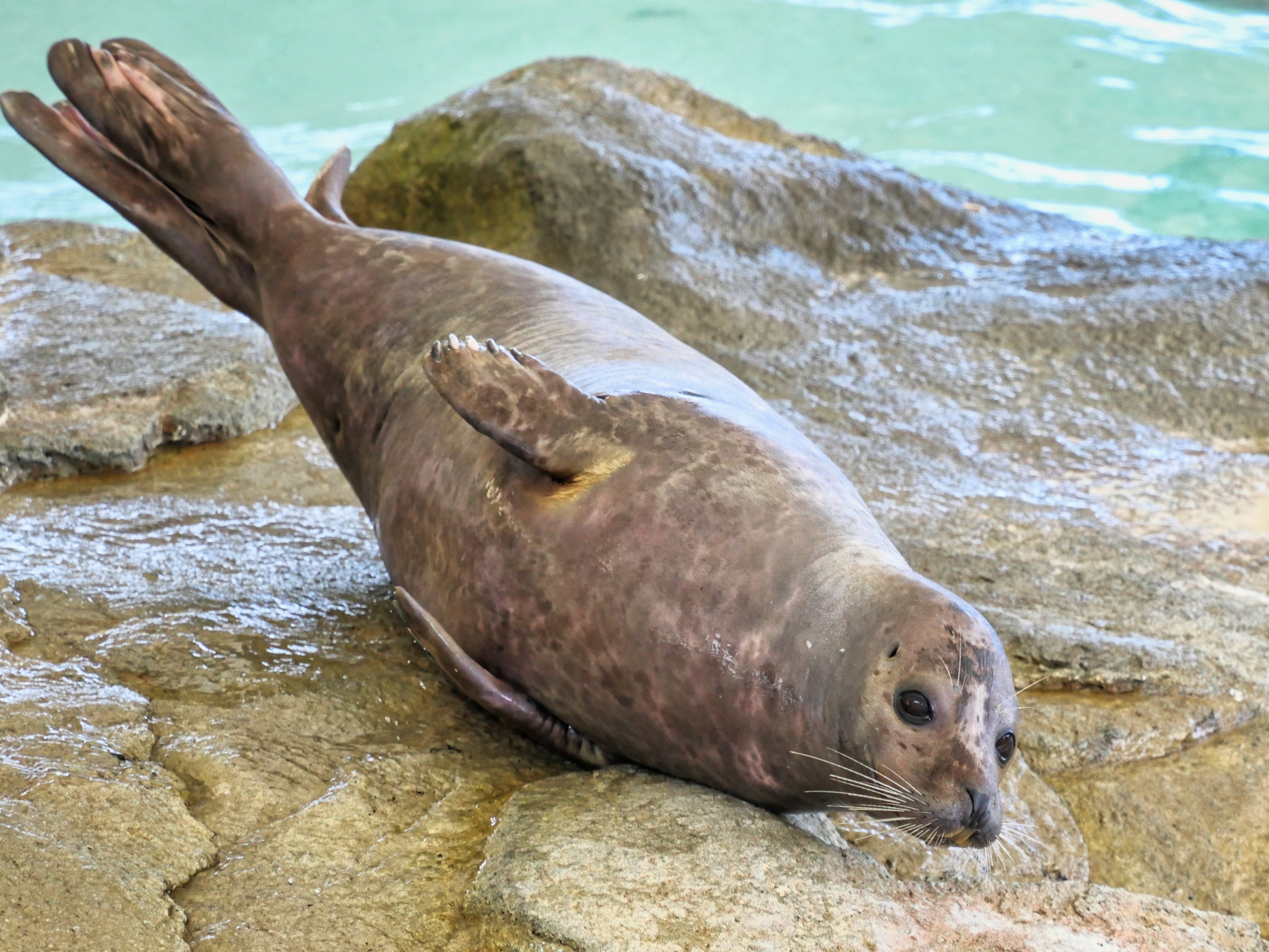 アザラー、北へ行く 〜第1回 北といえば北関東〜｜ベッチ